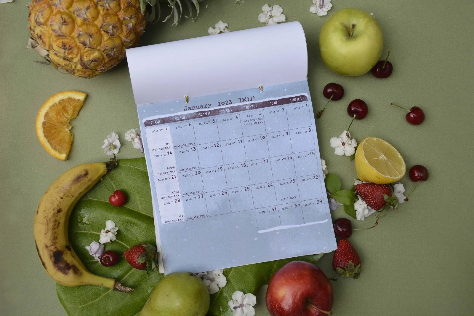 WhatsApp Image 2023-11-26 at 15.37.39_4997fc75.jpg