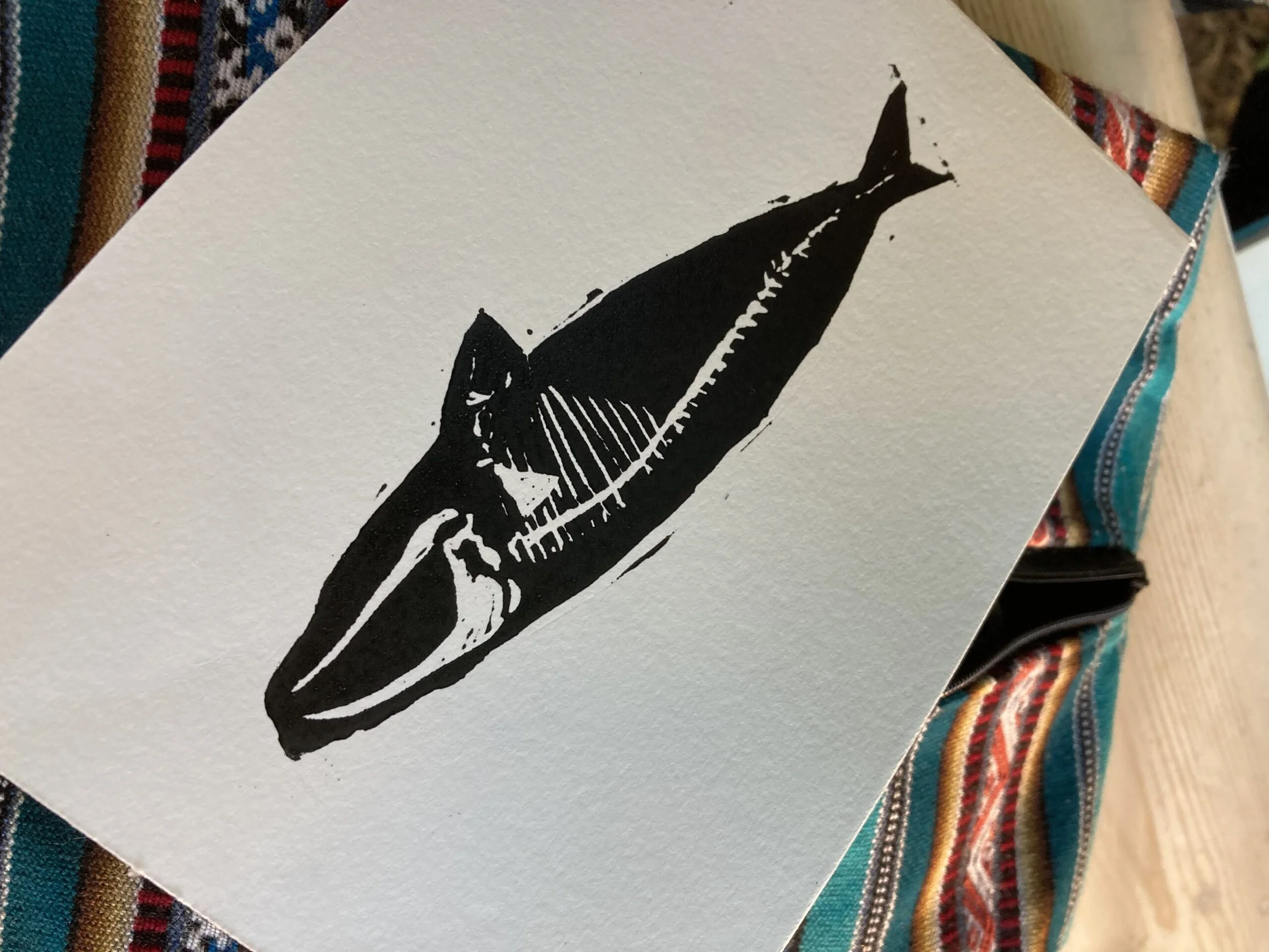 IMG_6612-scaled (1).jpg