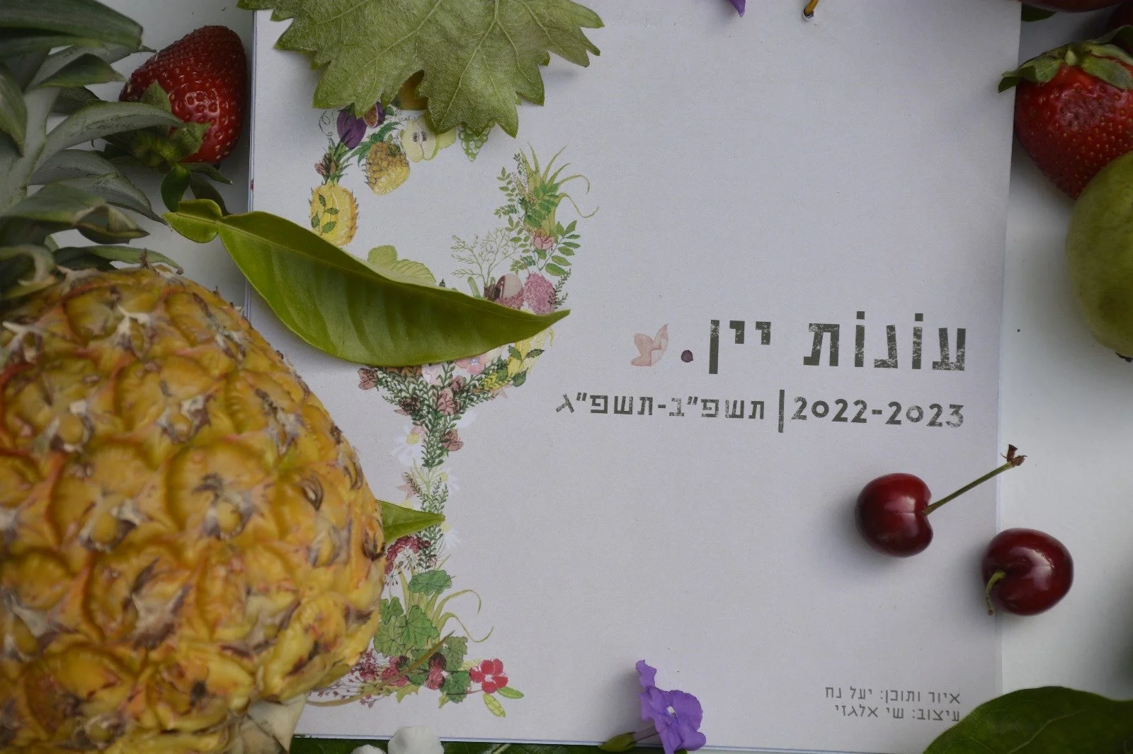 WhatsApp Image 2023-11-26 at 15.37.38_c74f0d98.jpg