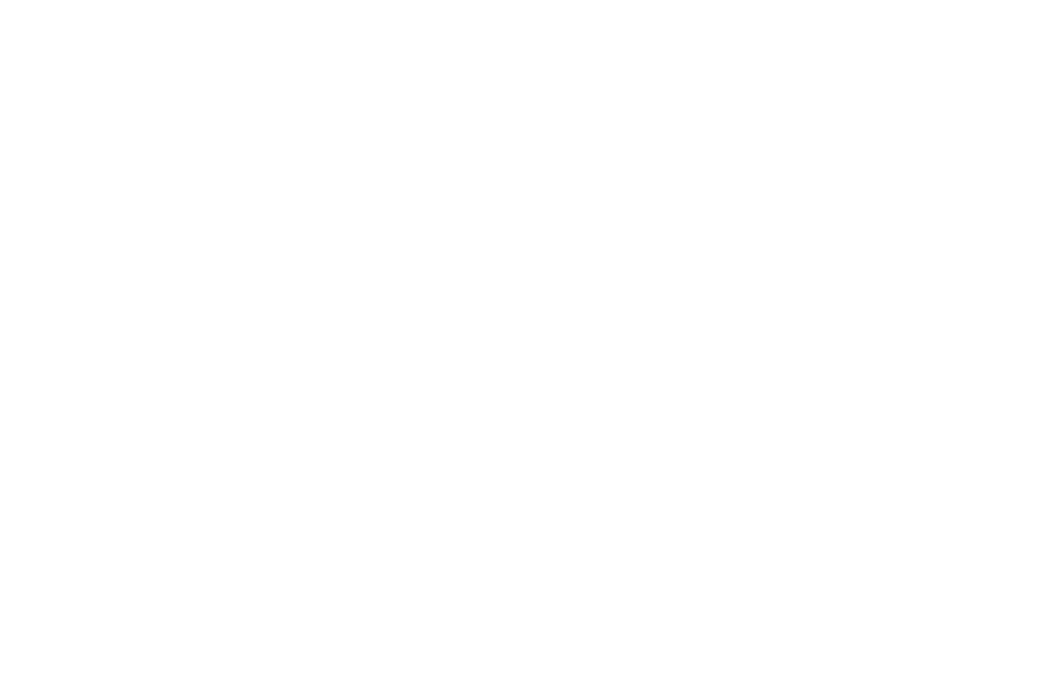 Die Businessprofilerin