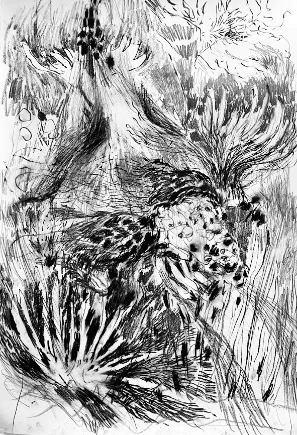 BilianaVelkova_PaperFlowers_charcoalonpaper_22x30.jpg