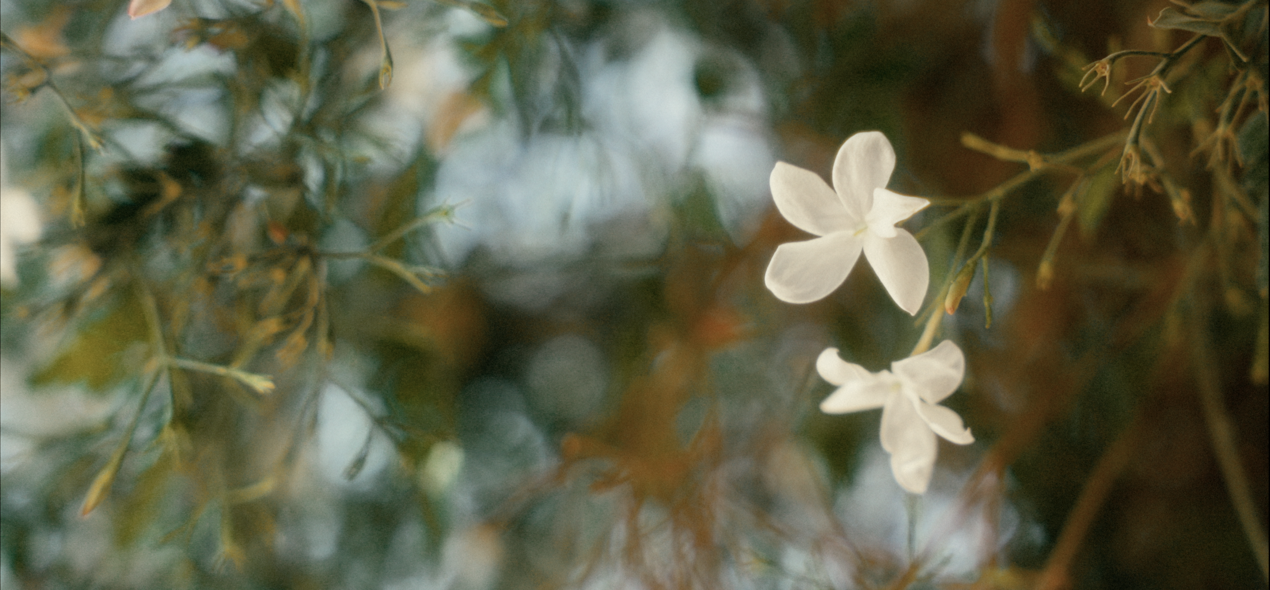 Screenshot 2026-01-21 at 10.25.48 AM.png