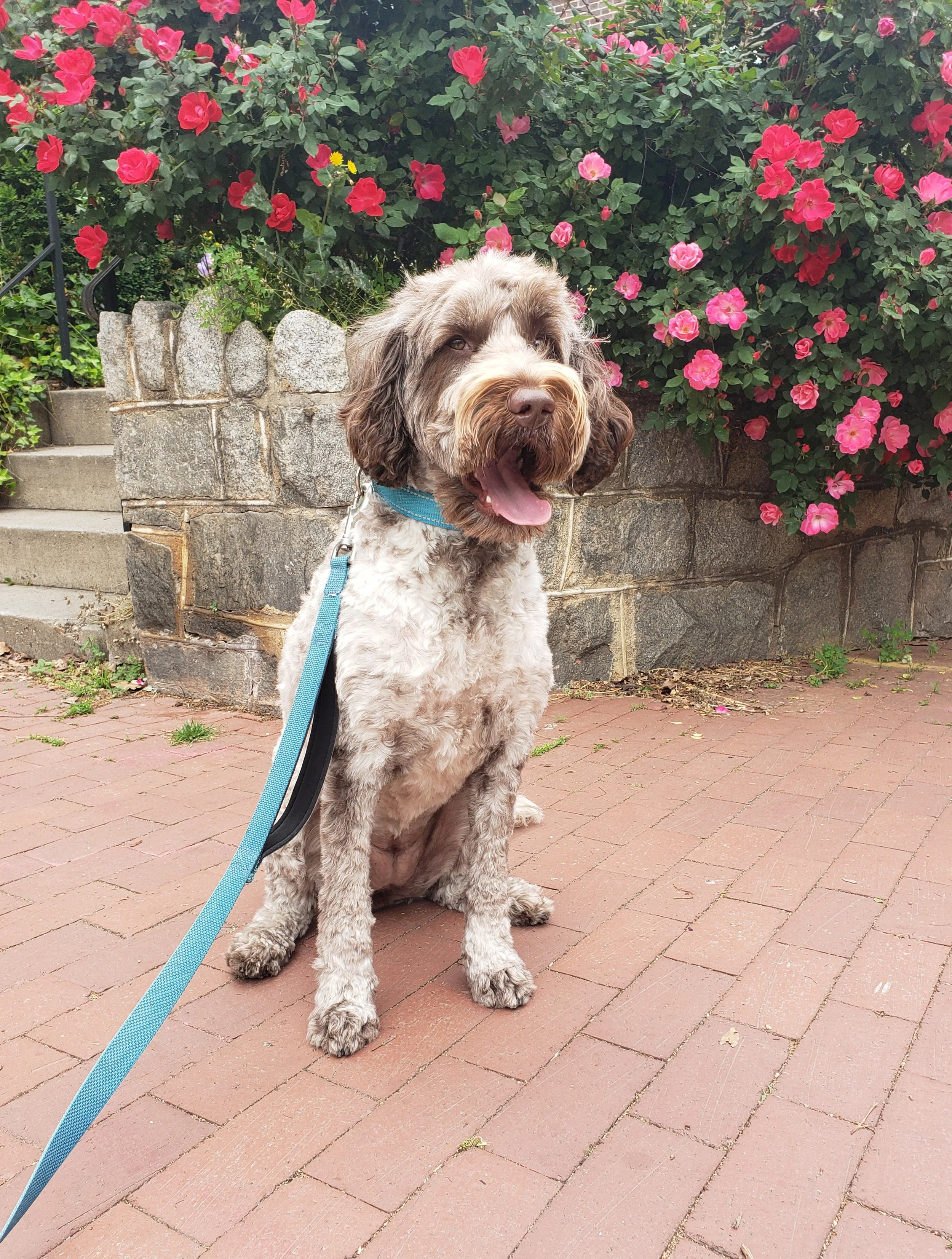 Emily, Judd & Prudence