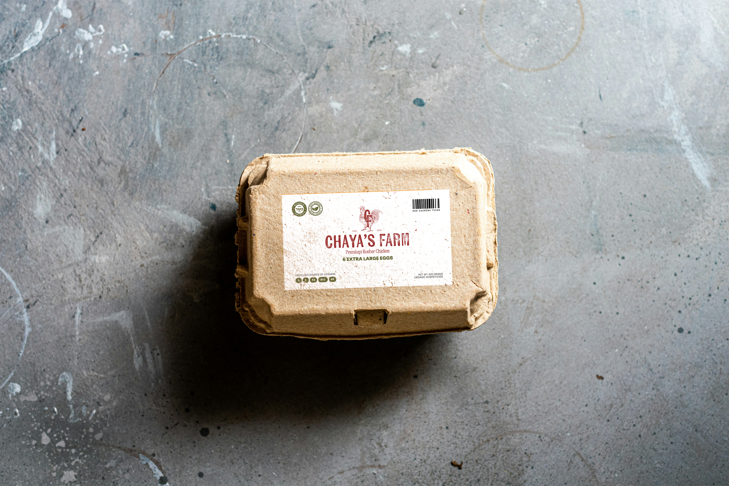 egg carton mockup.png