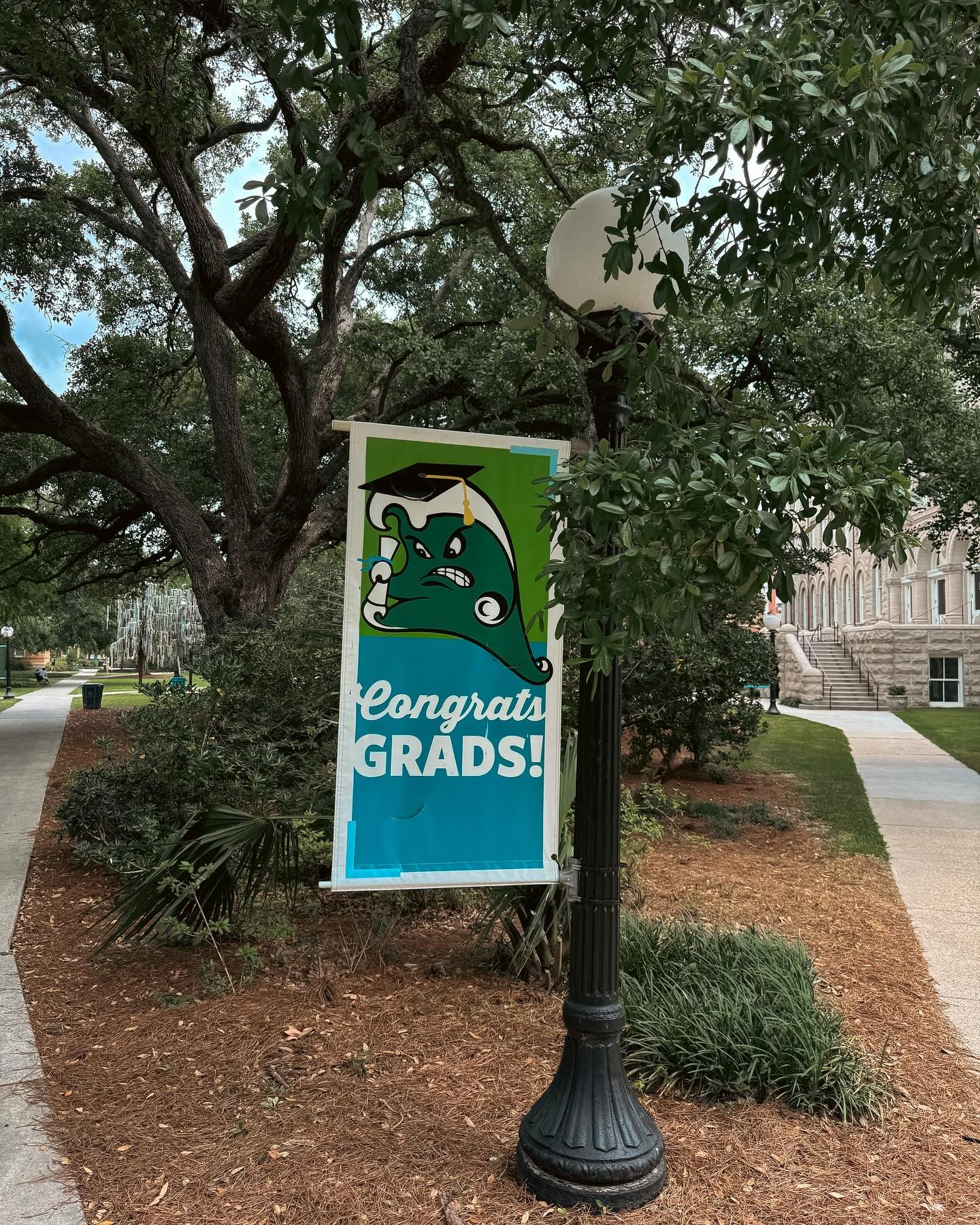 I spent time on our main campus today on the Monday after ky doctorate was conferred, and it felt a little poetic. My journey as a student at Tulane that began in January 2012 is over now.

My heart felt so full as I reminisced, and it only felt full