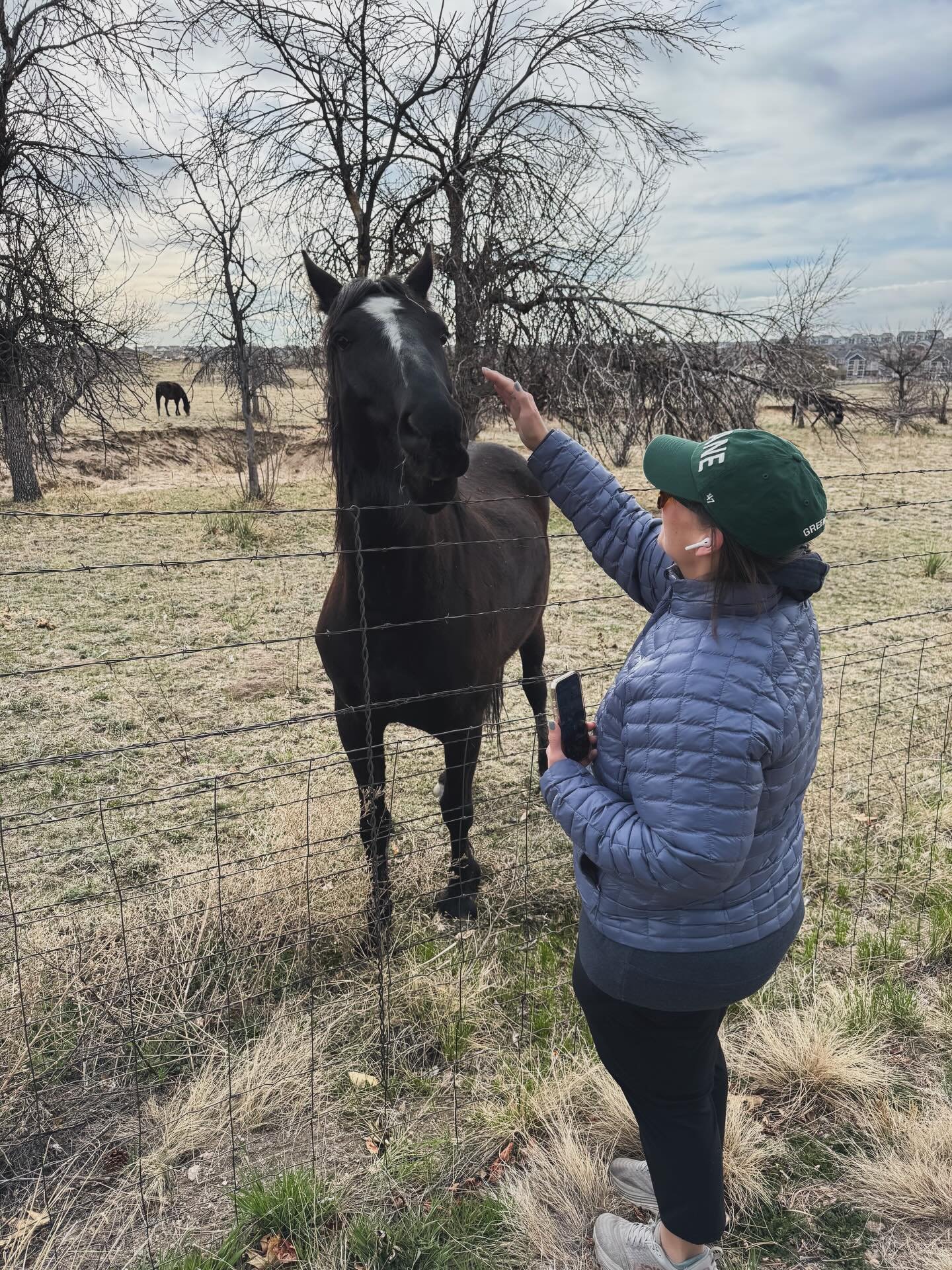 While we were on a walk in our neighborhood this morning, this horse came up to us and wanted to be friends. 😍