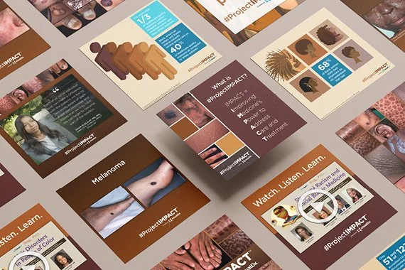 Project IMPACT Posts.jpg