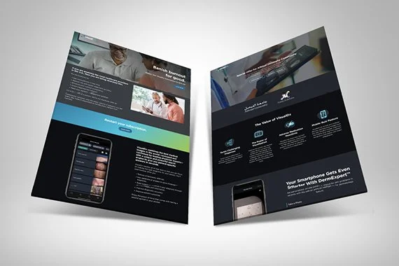 VisualDx Wordpress Landing Pages.jpg