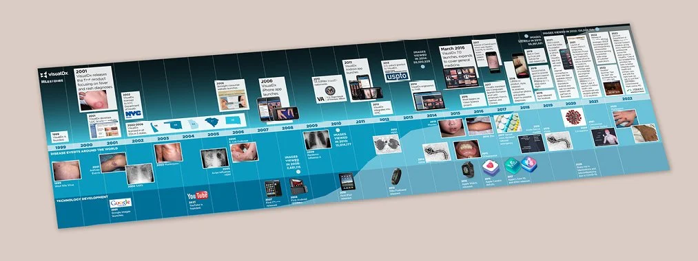 VisualDx Timeline.jpg
