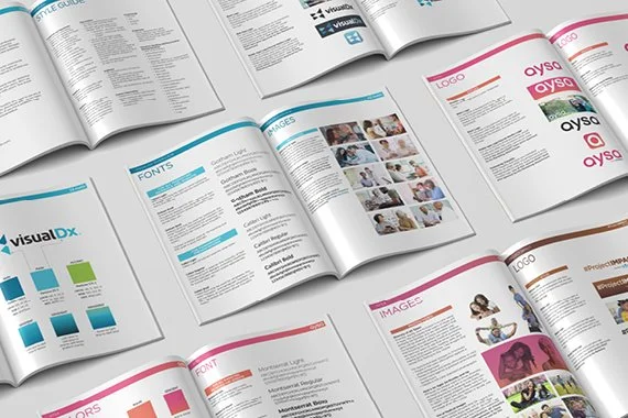 VisualDx Brand Guidelines.jpg