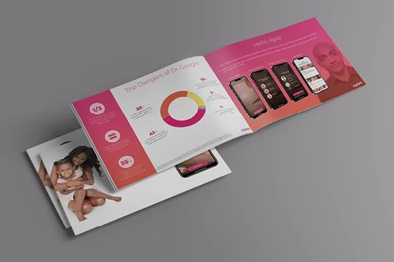 Aysa Brochure.jpg
