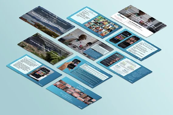 WHO Presentation.jpg