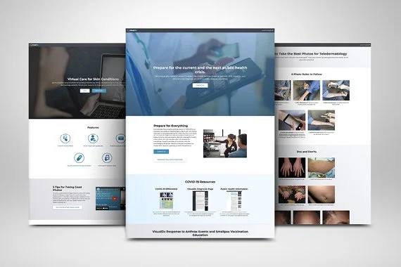 Public Health and Virtual Care Landing Pages.jpg