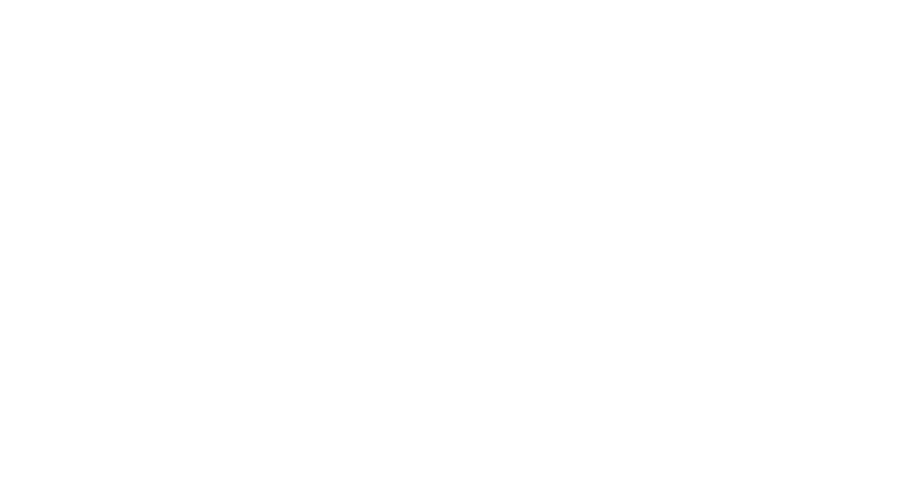 Supported Practice
