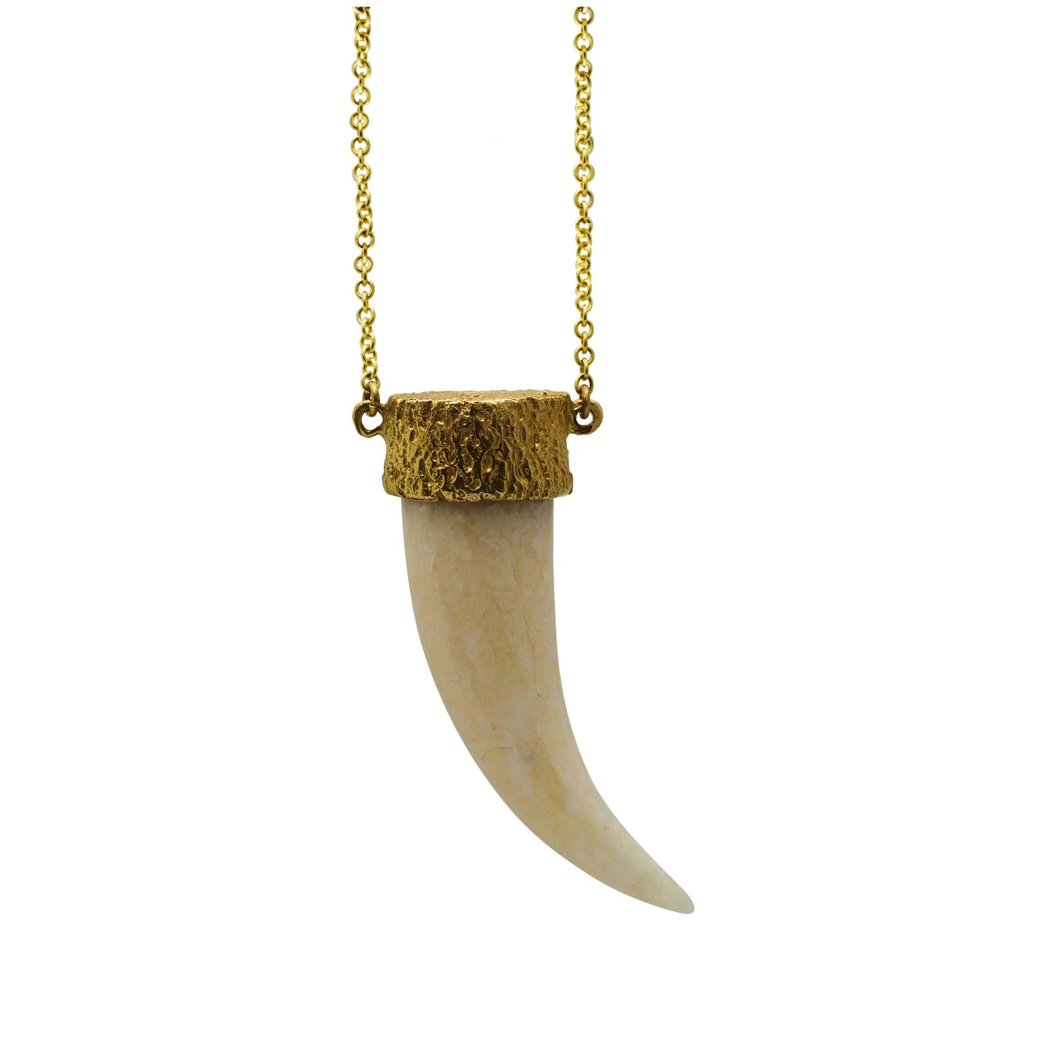 Tusk neckalce fossil necklace.jpg