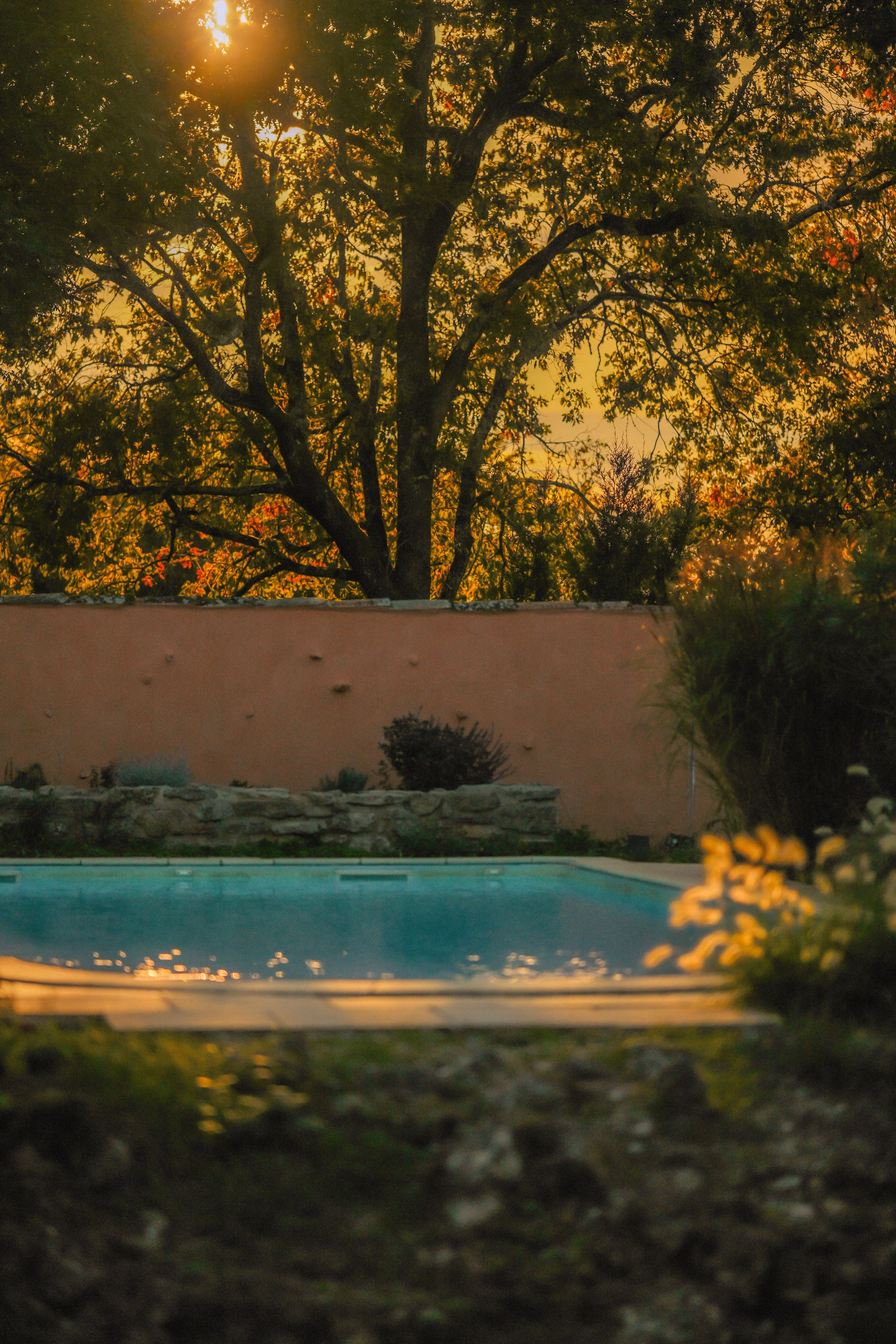 DSCF1771.jpg