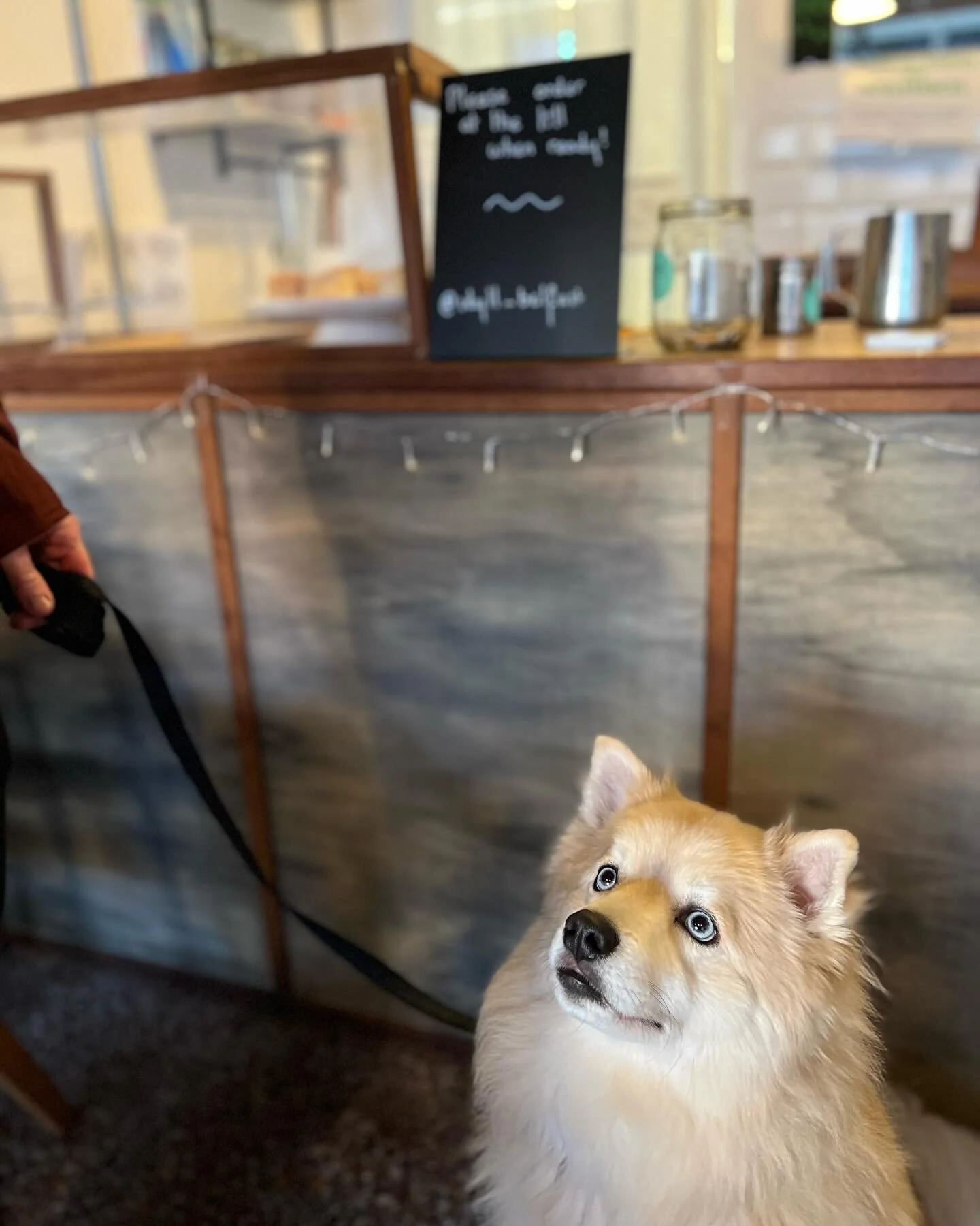 Furry friends welcome 🐶 🐾