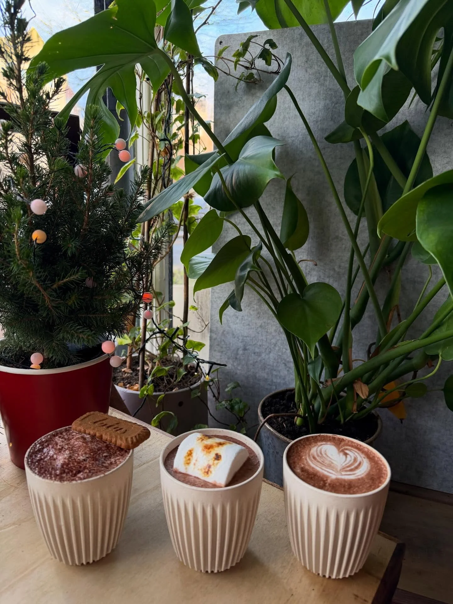 H O T  C H O C O L A T E S 🤎

✨ biscoff 
✨ toasted marshmallow 
✨ terry&rsquo;s chocolate orange 

All available as lattes too ☕️