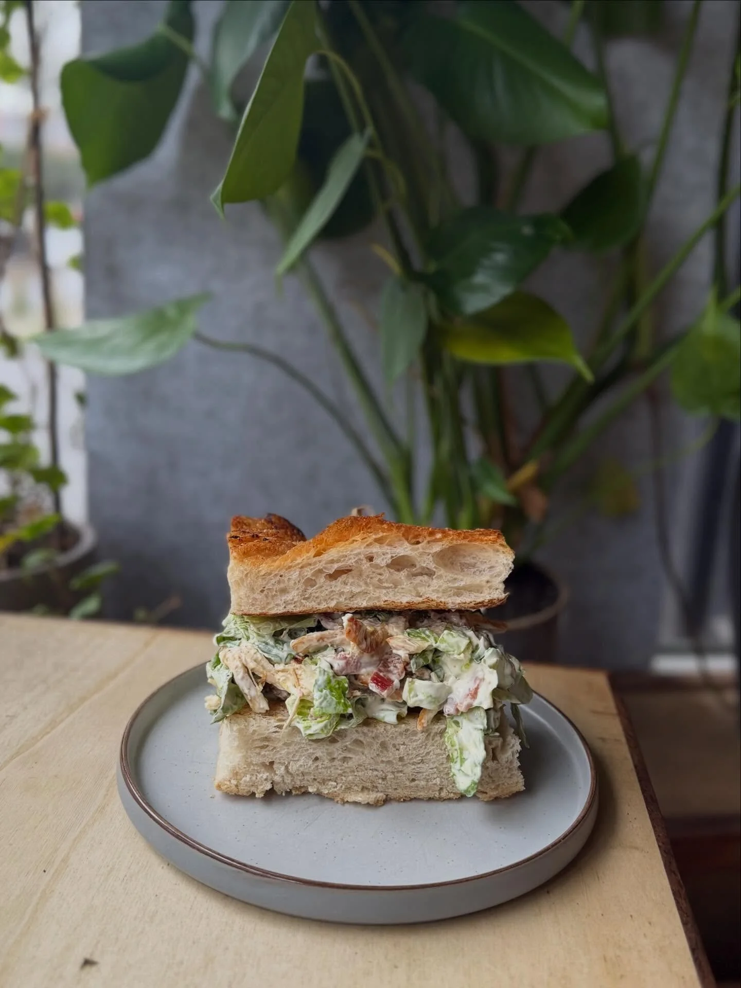 CAESAR SALAD SANDWICH 🥪

shredded chicken, baby gem lettuce, streaky bacon bits &amp; parmesan, served on roast garlic focaccia 🤌🏽