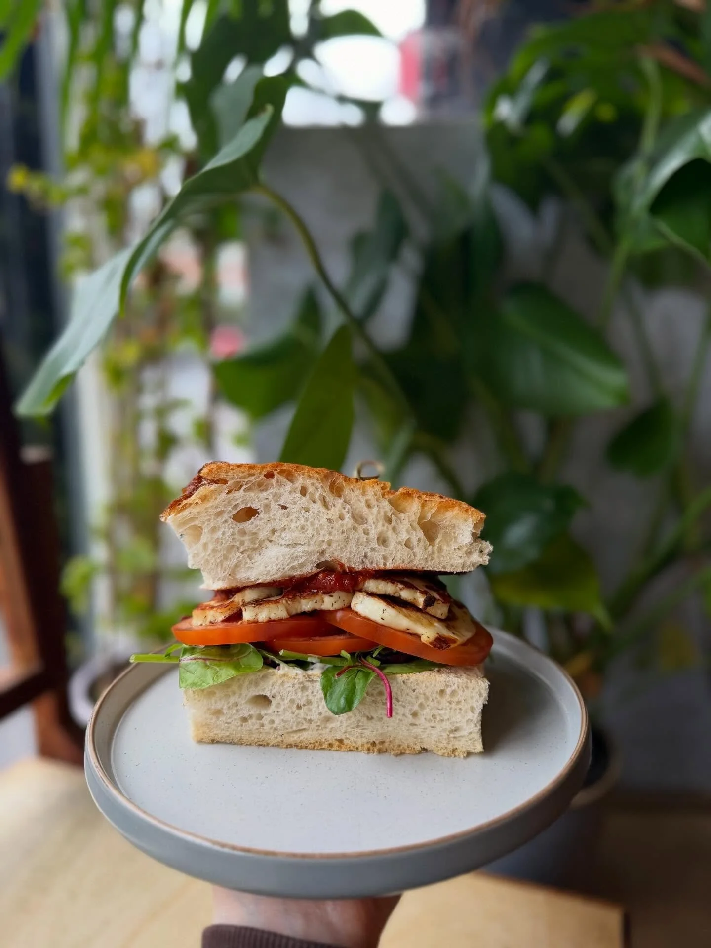 Grilled Halloumi Sandwich 🤌🏽
served on roast garlic focaccia, with @bethanyfruitmarket tomatoes (if you know you know), baby leaves, ballymaloe relish &amp; garlic aioli 🍅 🍃