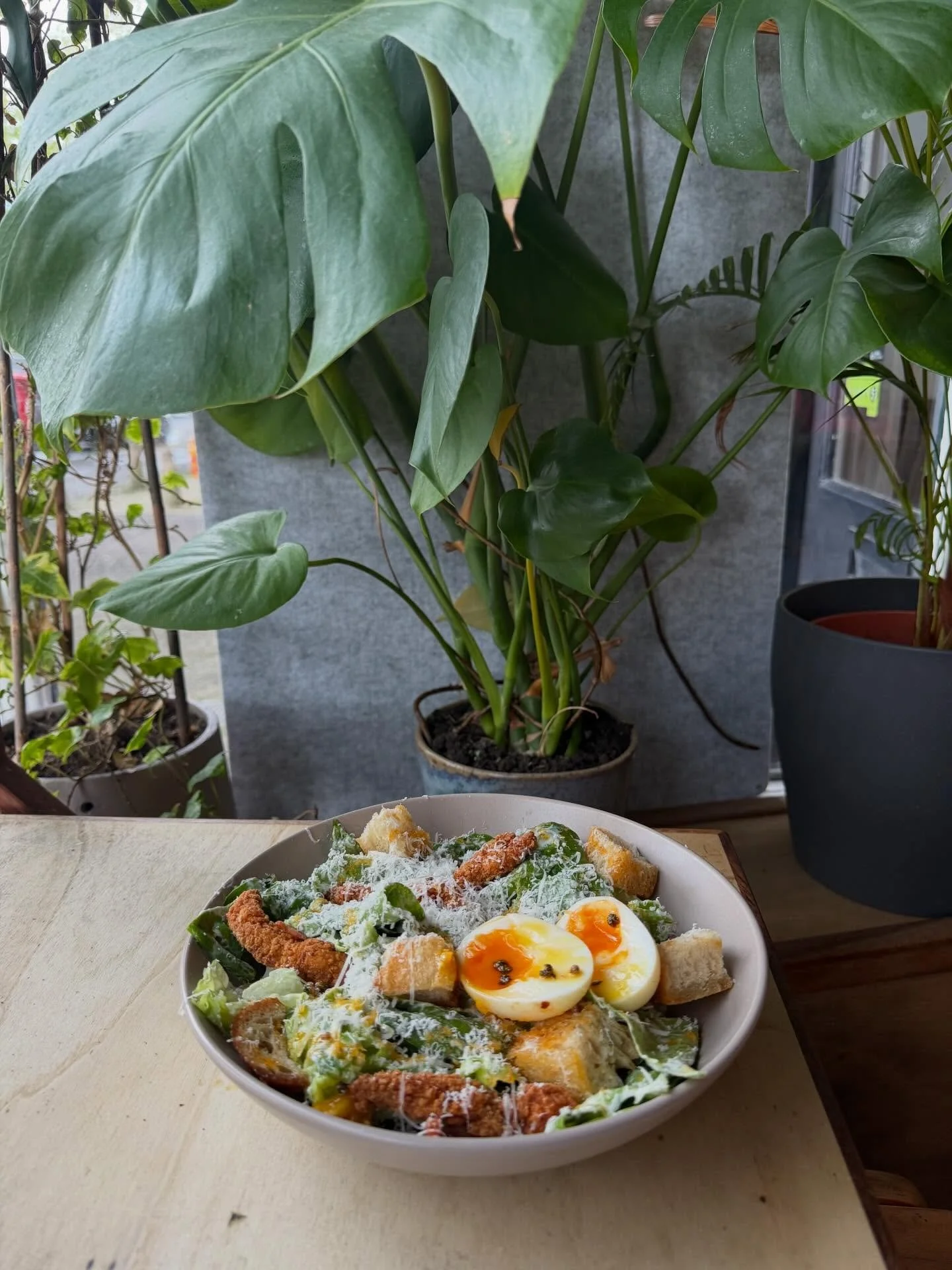S A L T &amp;  C H I L L I  C A E S A R  S A L A D 🥗 🌶️ 

Our new dish this weekend is a mix of your two FAVE dishes 🤌🏽
Caesar salad. Salt &amp; chilli chicken. 🤝✨ we know you&rsquo;ll love this one &hearts;️