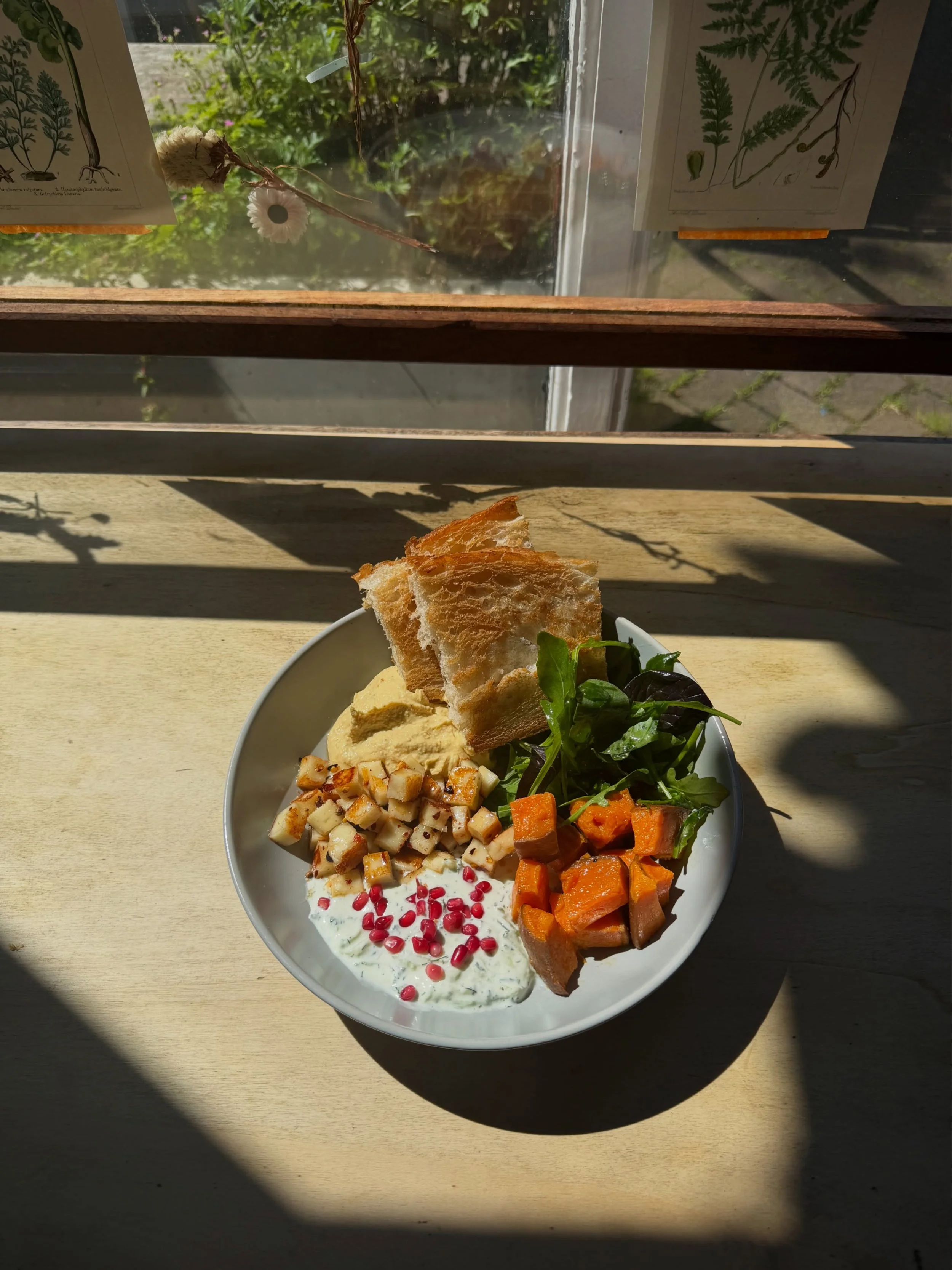 HOT HONEY HALLOUMI BOWL 🍯 

grilled halloumi, hot honey, lemon hummus, tzatziki, roasted sweet potato &amp; baby leaves 🍃  served with garlic focaccia!