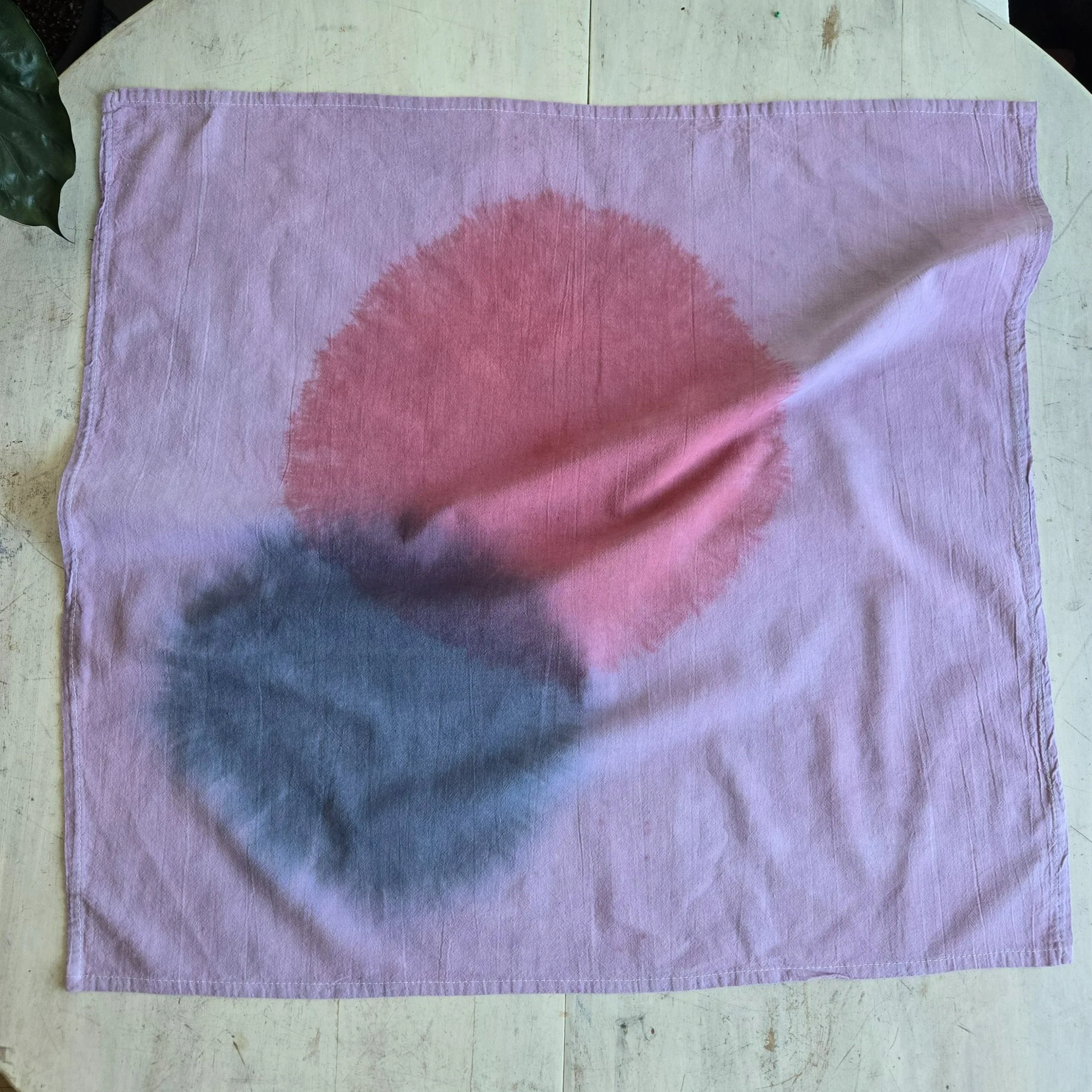 20250716_140637.jpg