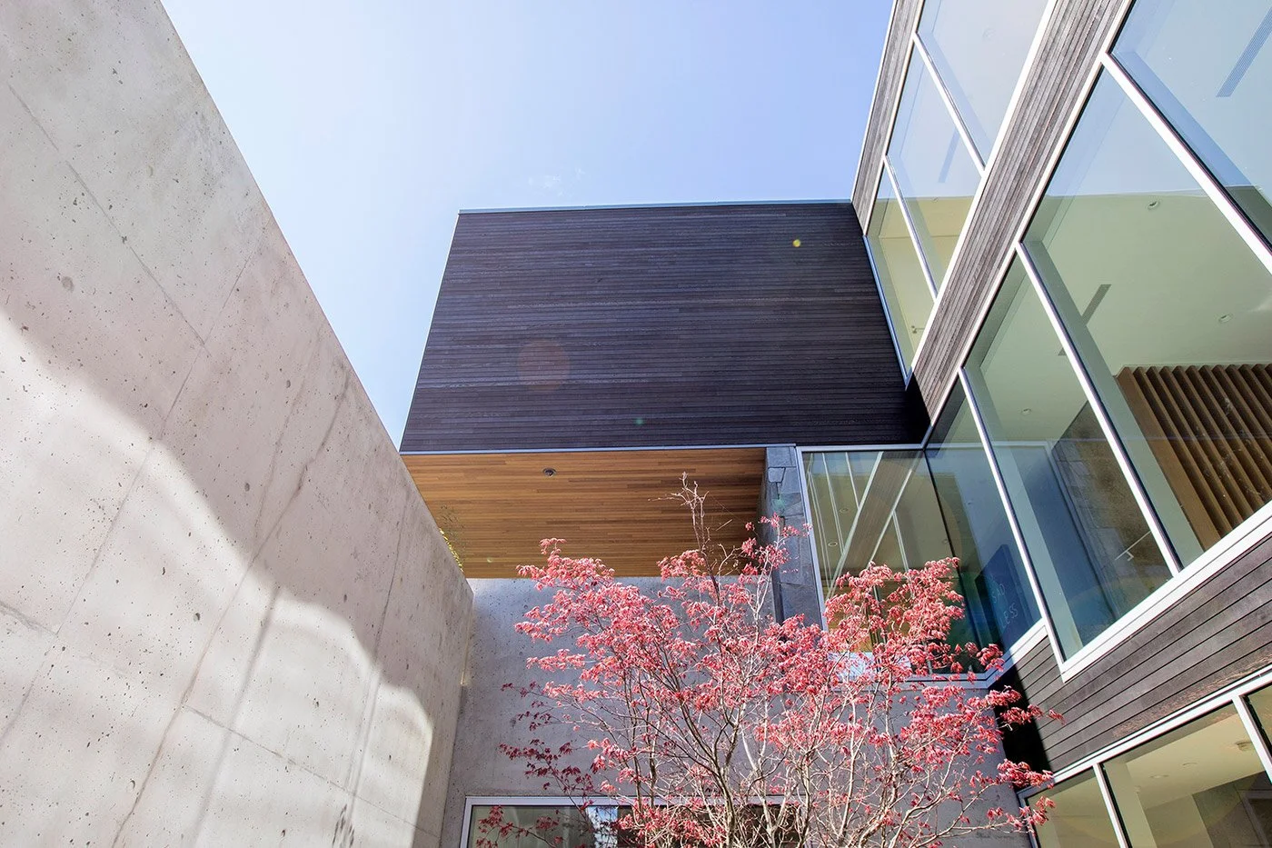 Modern building with large glass windows, wooden and concrete exterior, and a red-leafed tree in front.