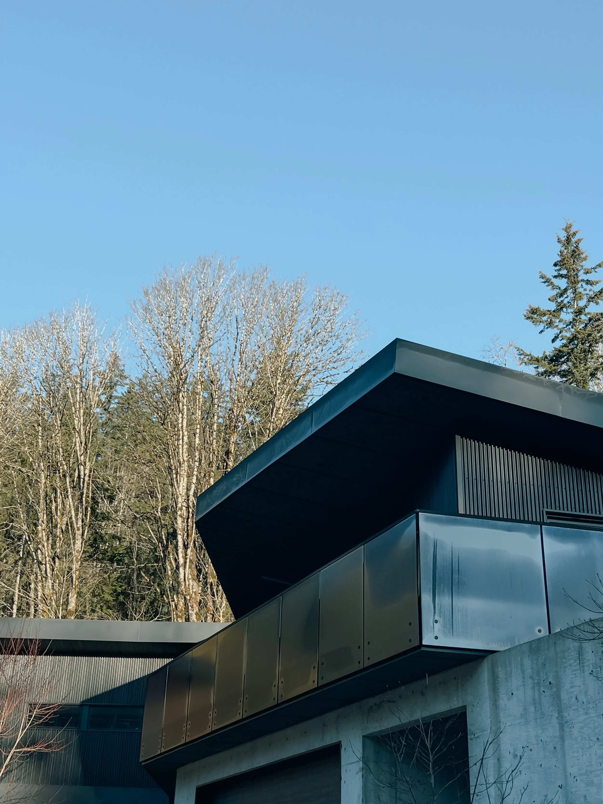 Modern building with dark exterior panels and a flat roof, set against leafless trees and a clear blue sky.