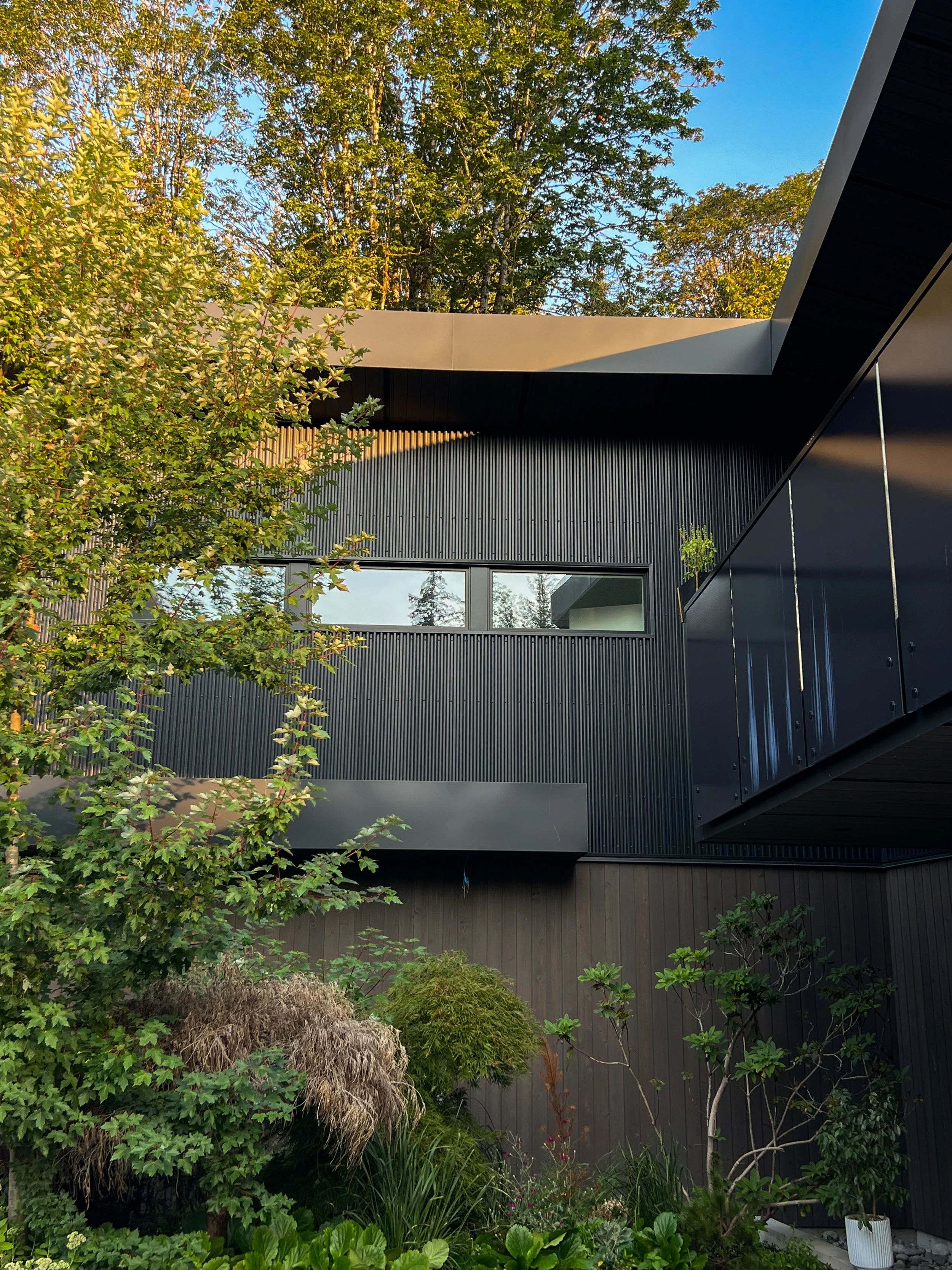 Modern black house with horizontal window and surrounding greenery, including trees and shrubs, under a blue sky.