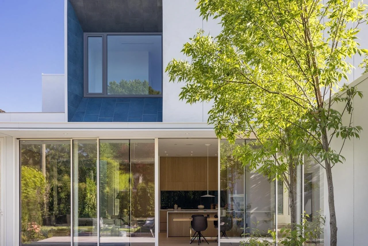 Modern house with large glass sliding doors, a tree in the yard, and a view of the kitchen inside.