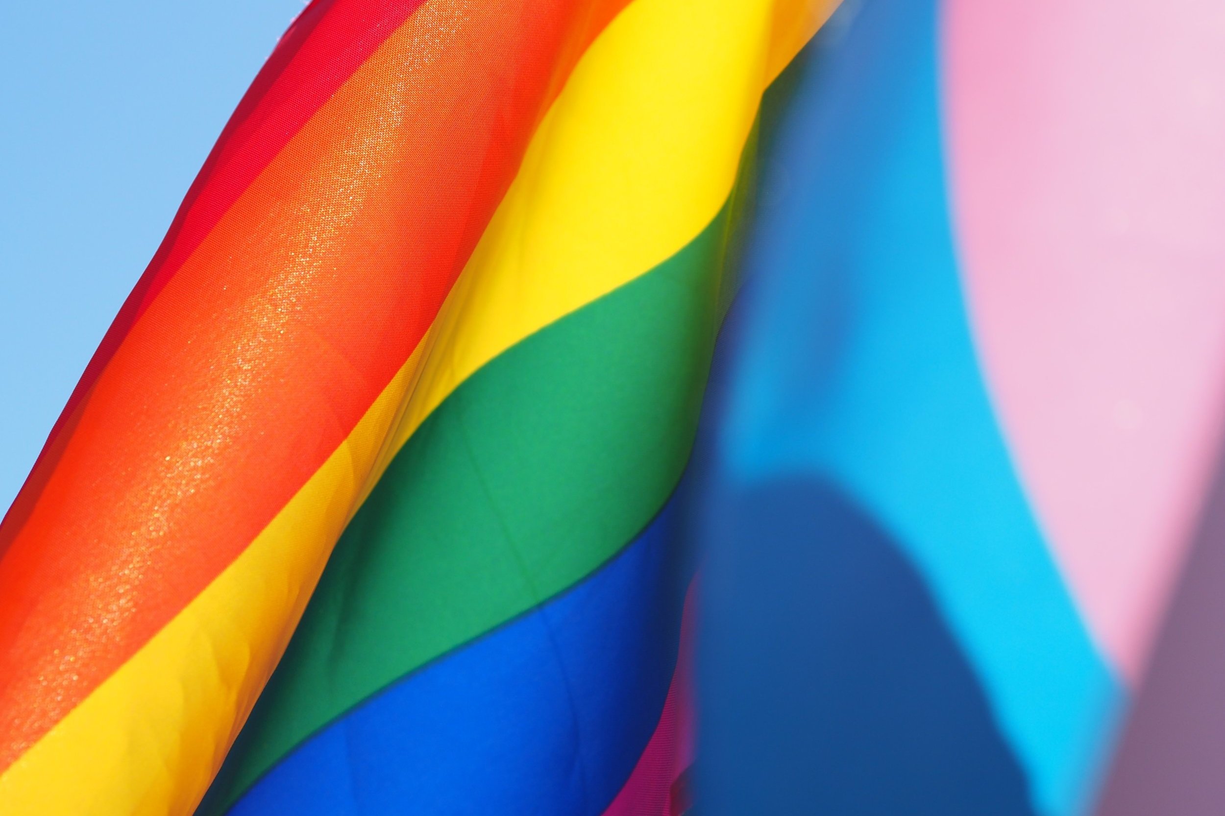 Celebrating Love in All Forms: Supporting LGBTQ+, Alternative, and Kink Relationships