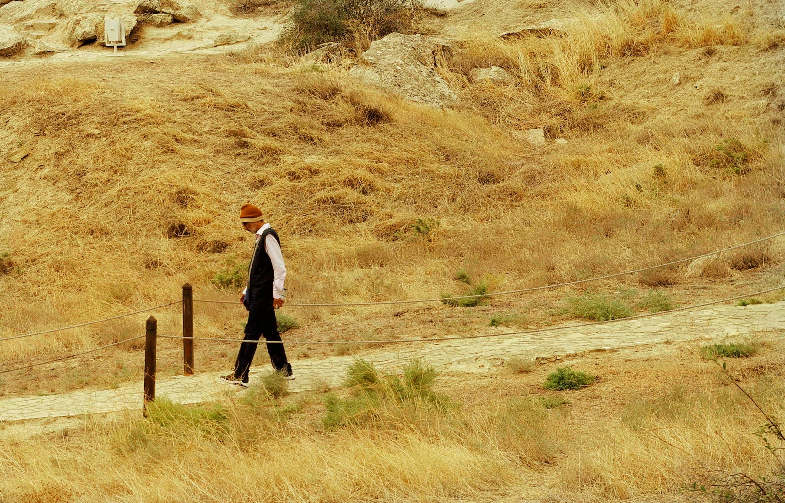Mind Wanderings