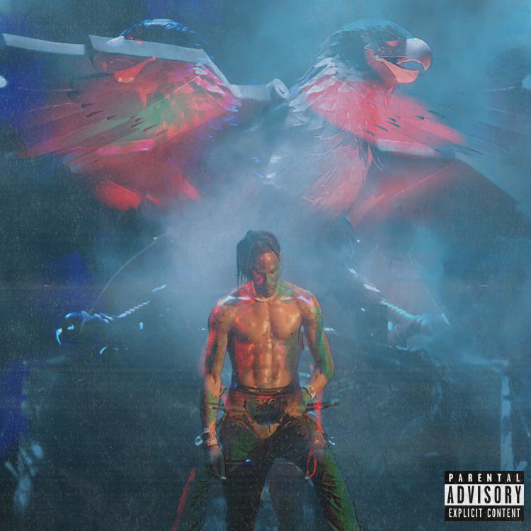 birds in the trap.png