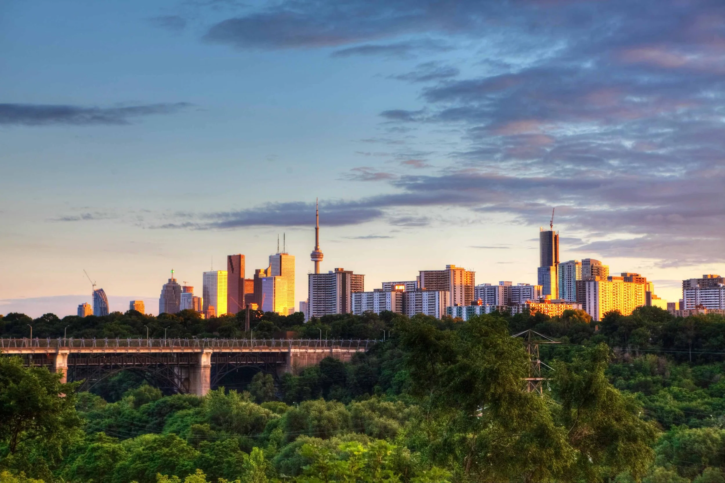 The Ultimate Guide to Building and Living in Rosedale