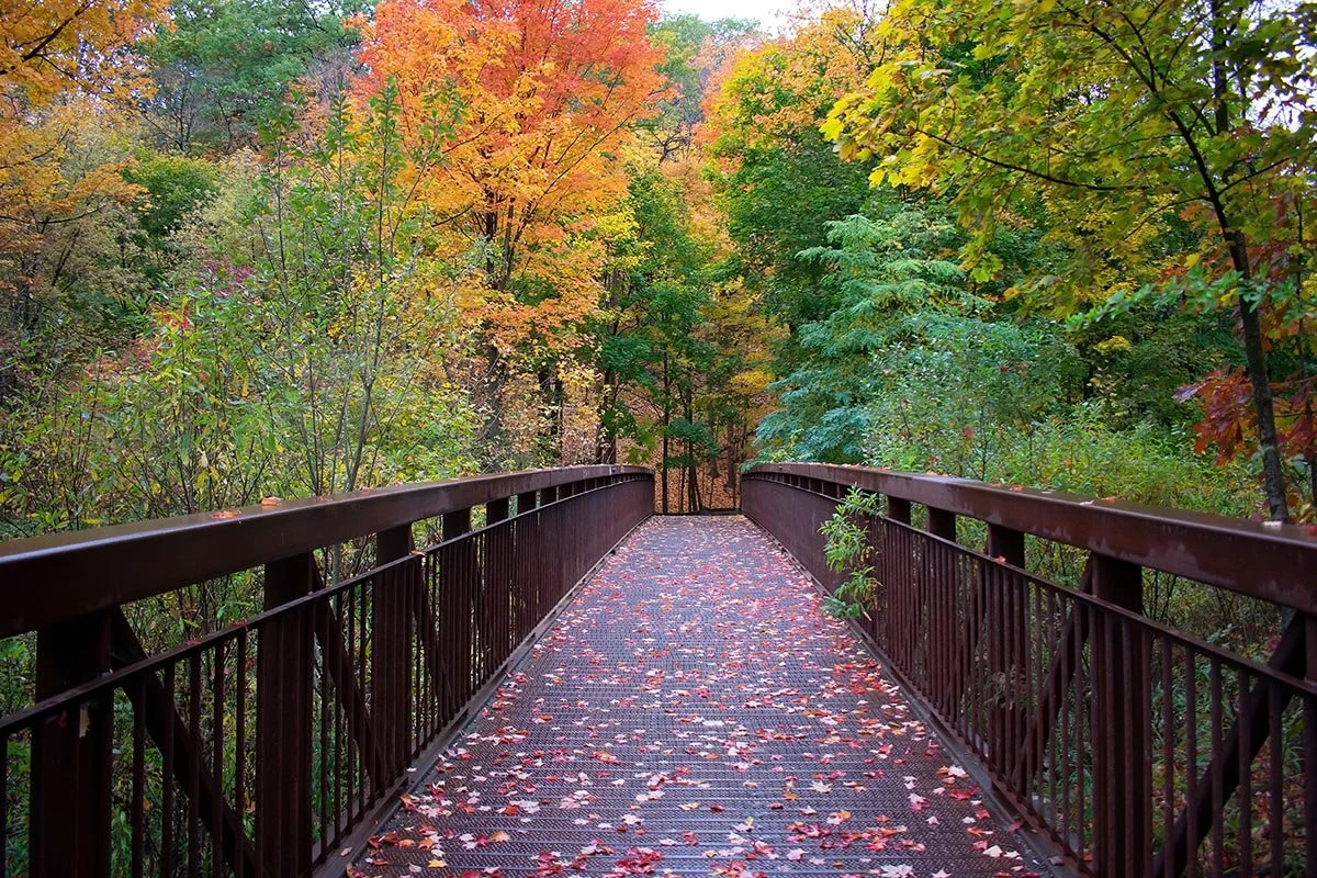 A bridge over a forest path during autumn, with colorful fall foliage and fallen leaves on the ground.