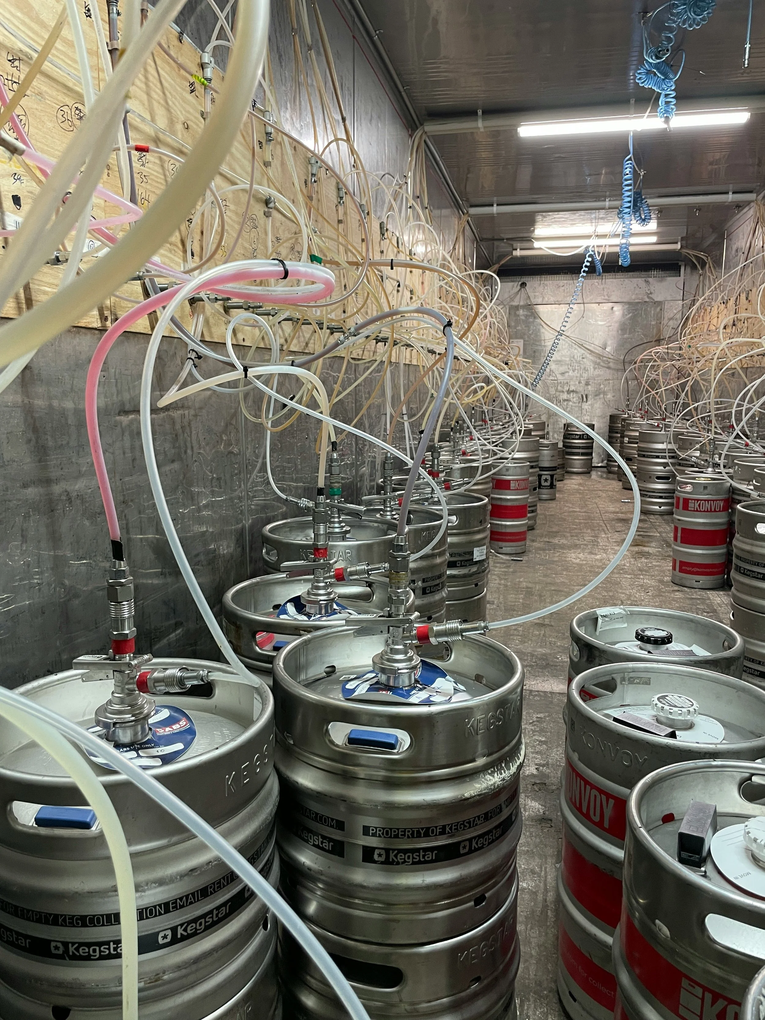 Rows of beer kegs with taps and tubing, stored in a brewery or beverage storage room.