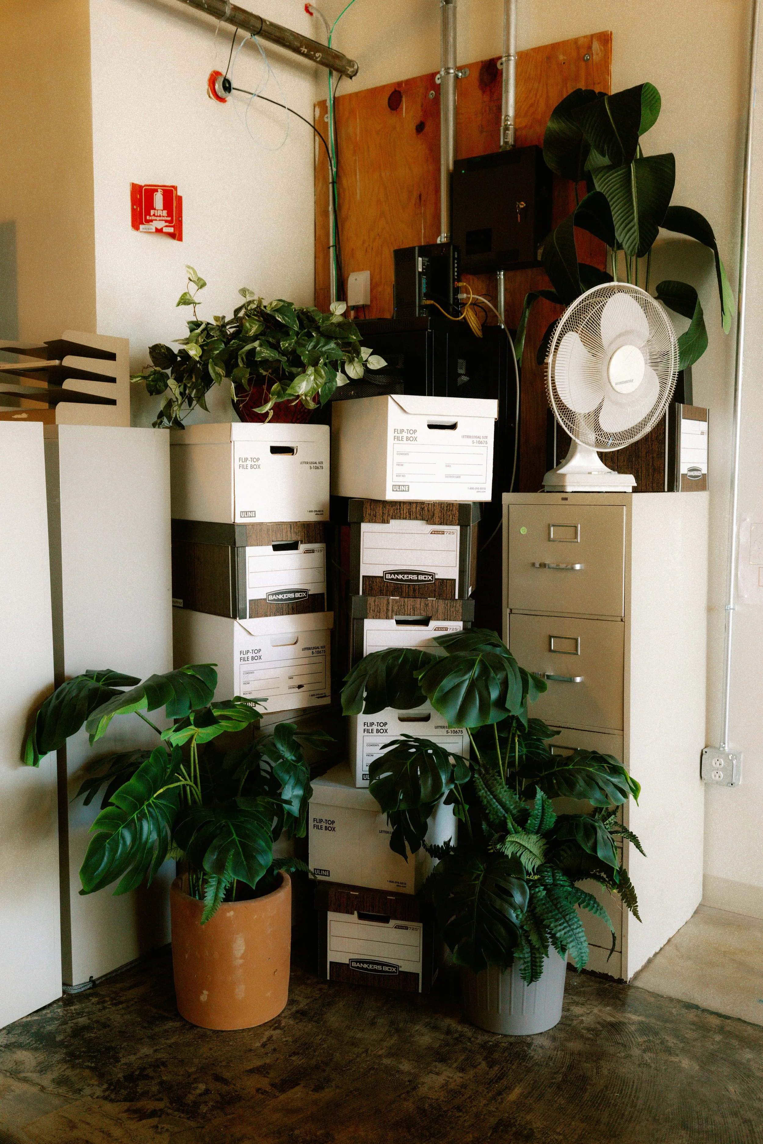 Office corner with potted plants, stacked file boxes, a fan, and office equipment on a beige filing cabinet.