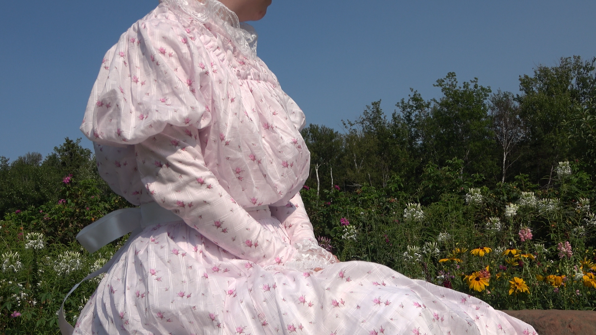 Second Dress-f040629.png