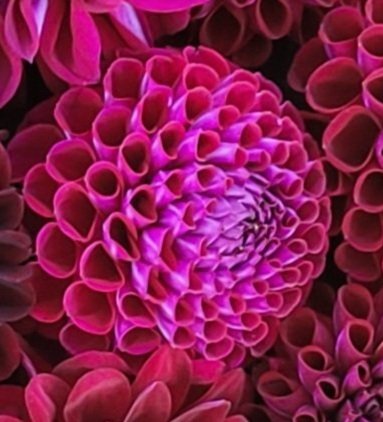 20241007_175107.jpg