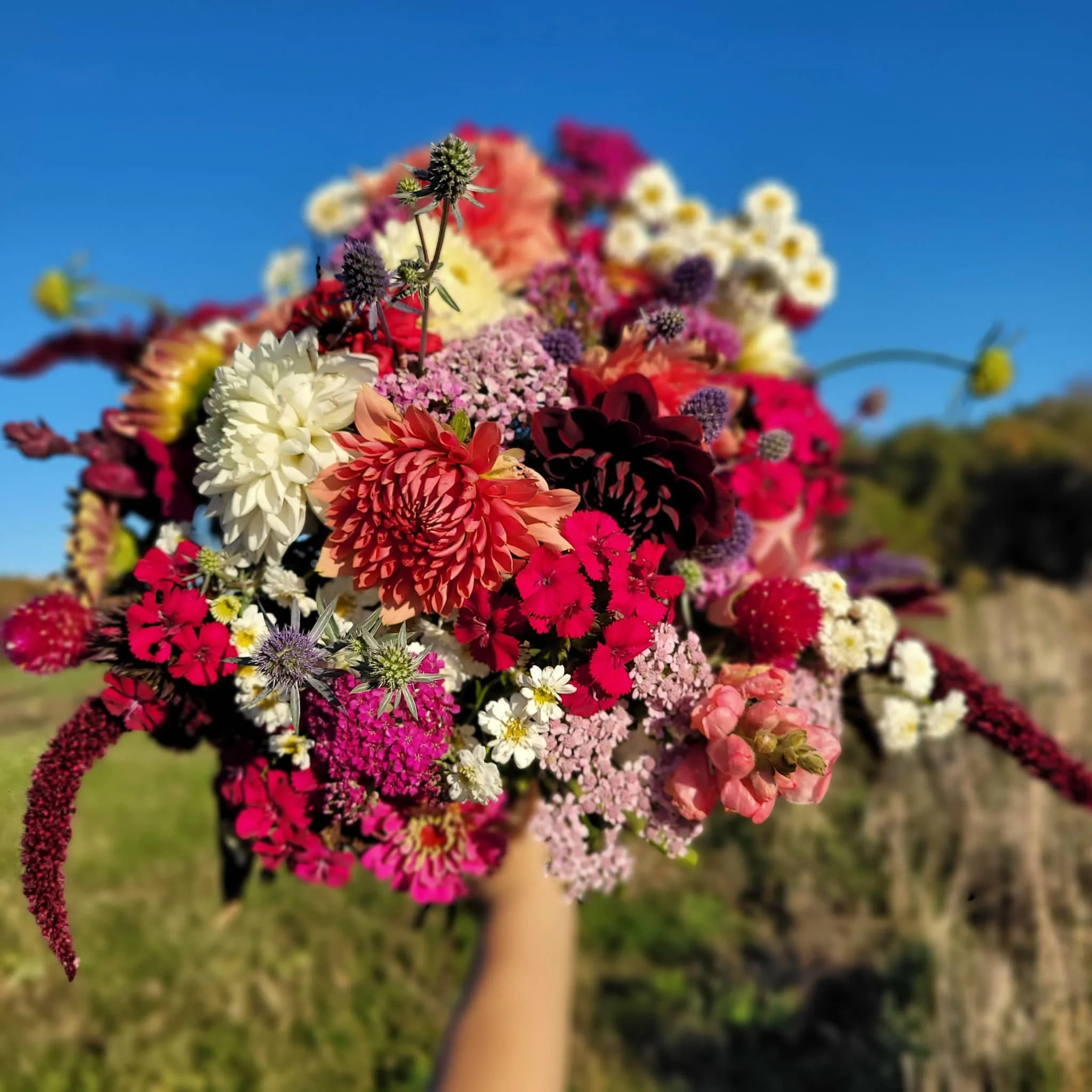 bouquet subscription 1.jpg