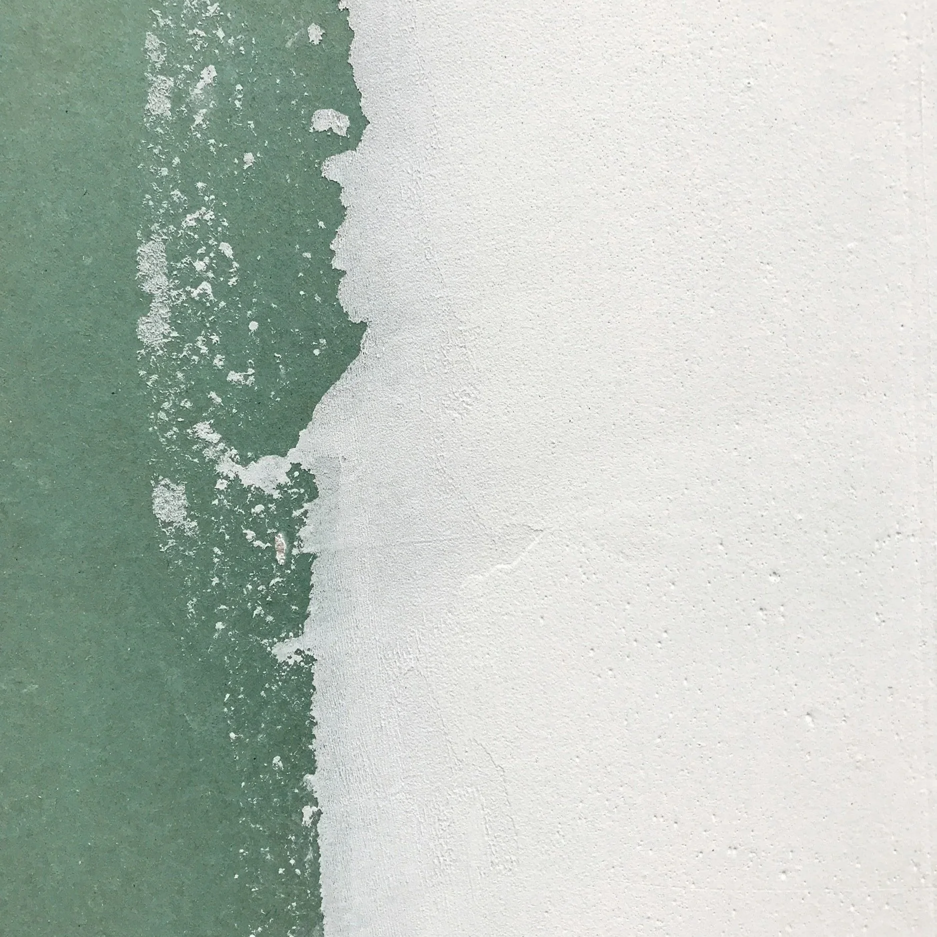 Navigating the 2026 Green Claims Landscape: The Alignment of Narrative and Proof.