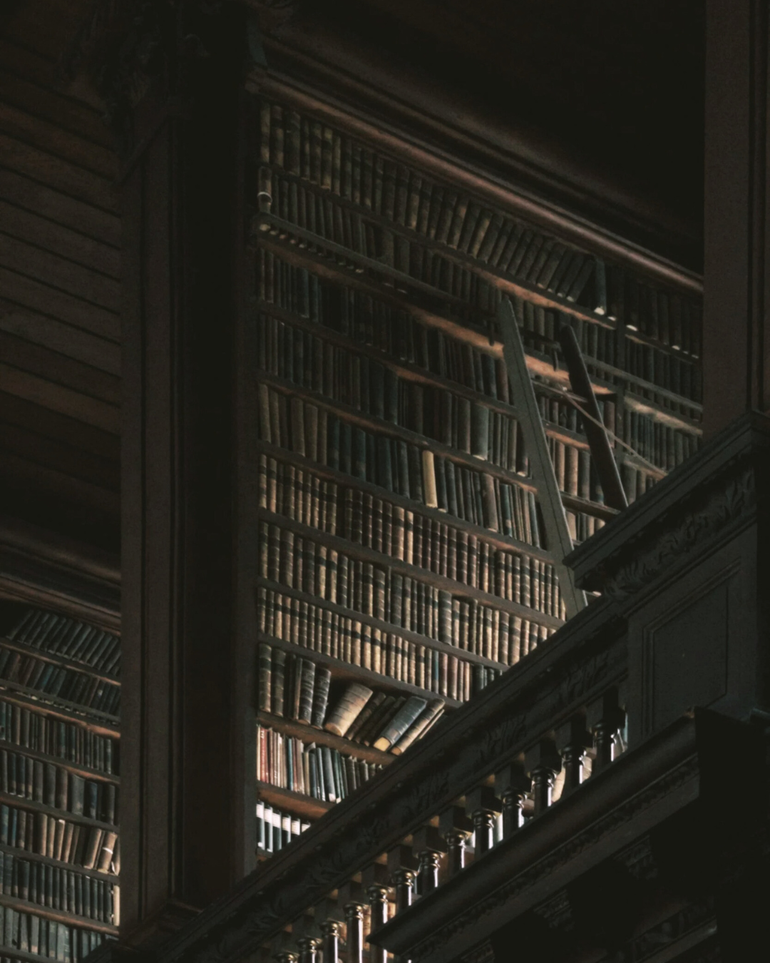 An old library with books stack floor to ceiling representing the trivium; grammar, logic, rhetoric. This is the basis of Bold Green Strategies methodology