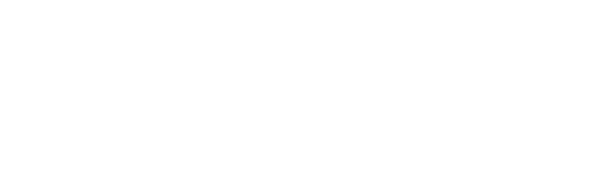 This is the logo for the Bold Green Strategies proprietary carbon footprinting tool