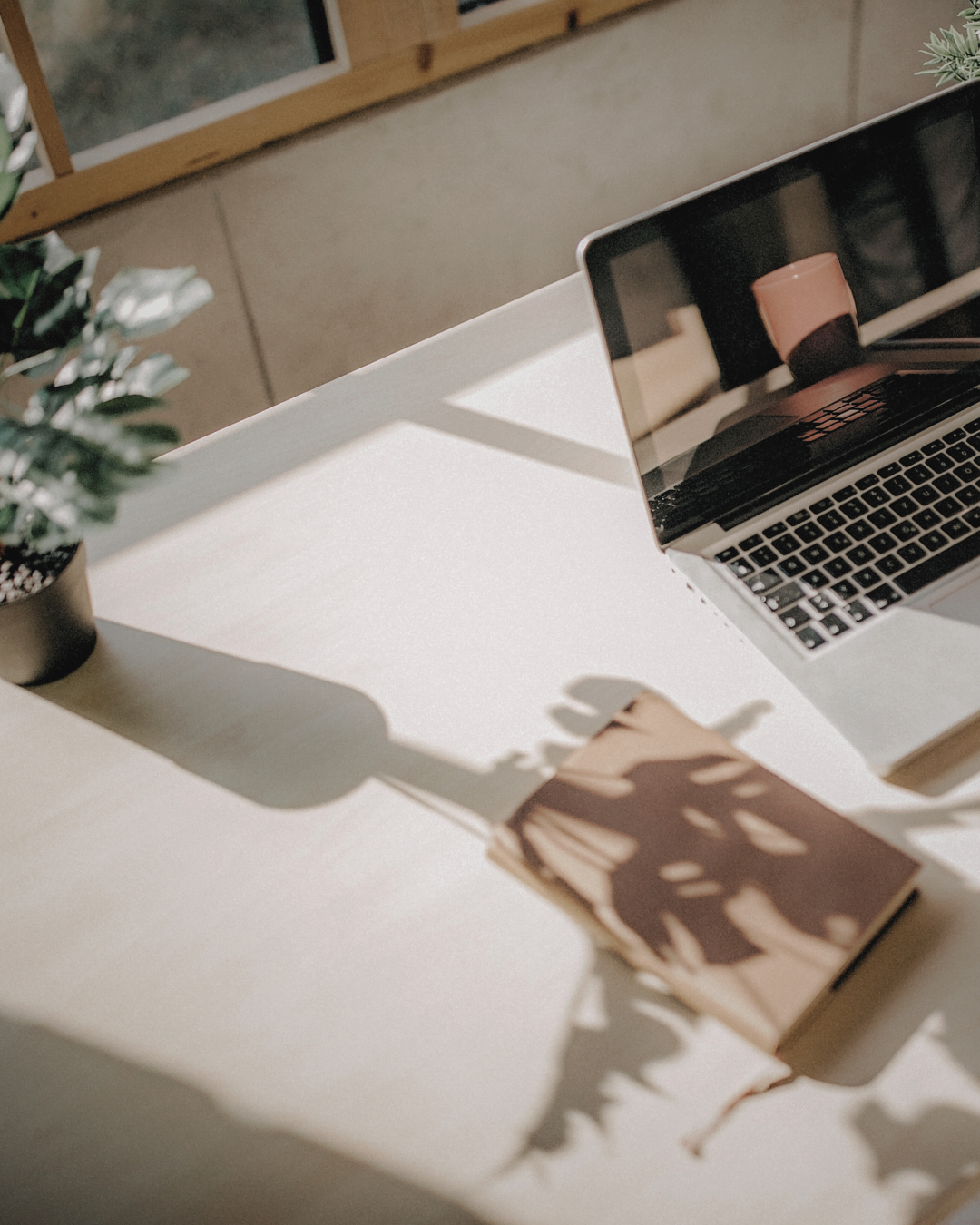 A laptop on a desk with a plant for B Corp and Butterfly Mark block.