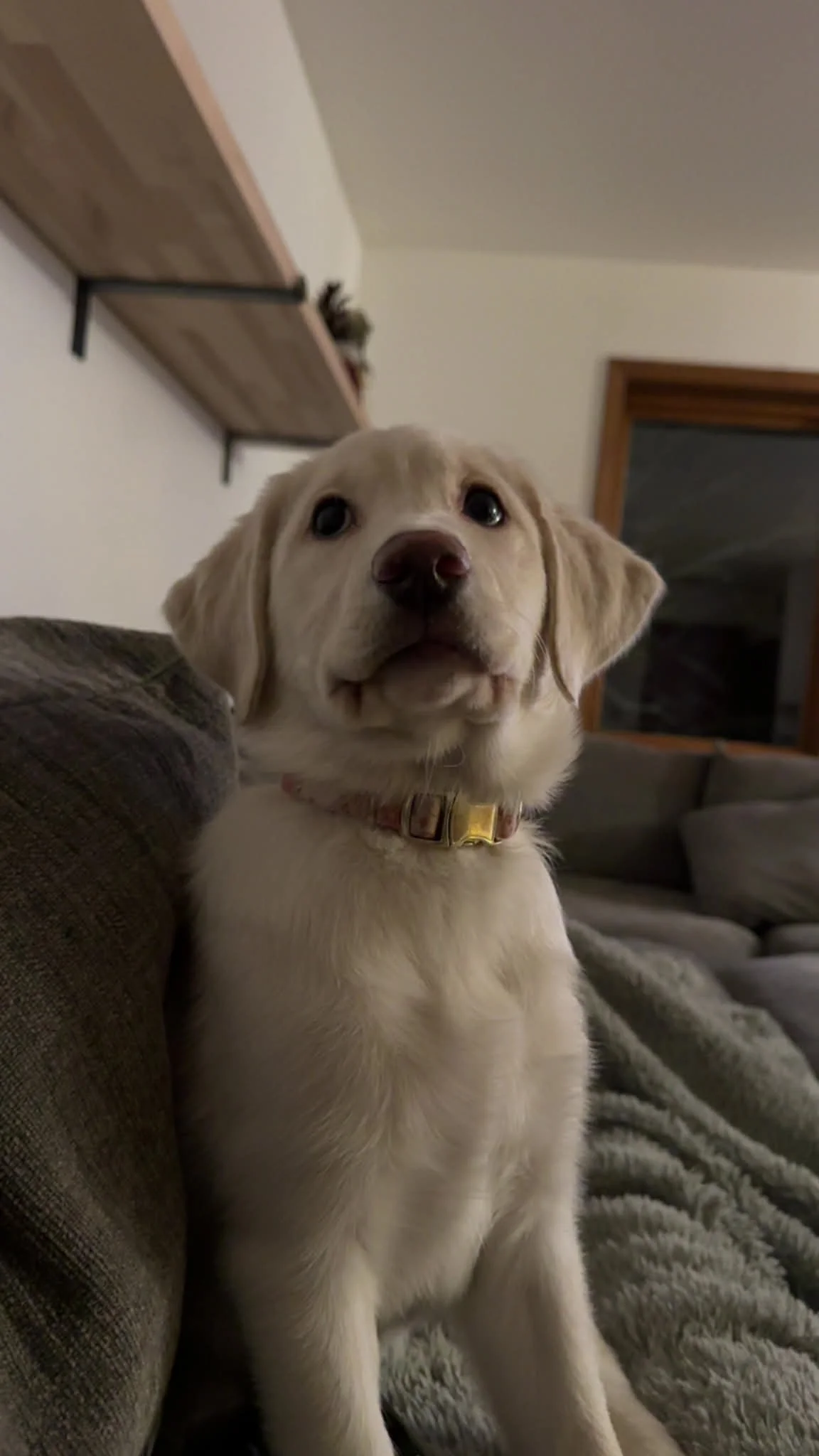 2000df83-354b-47f7-8674-b8e0e231757b.jfif