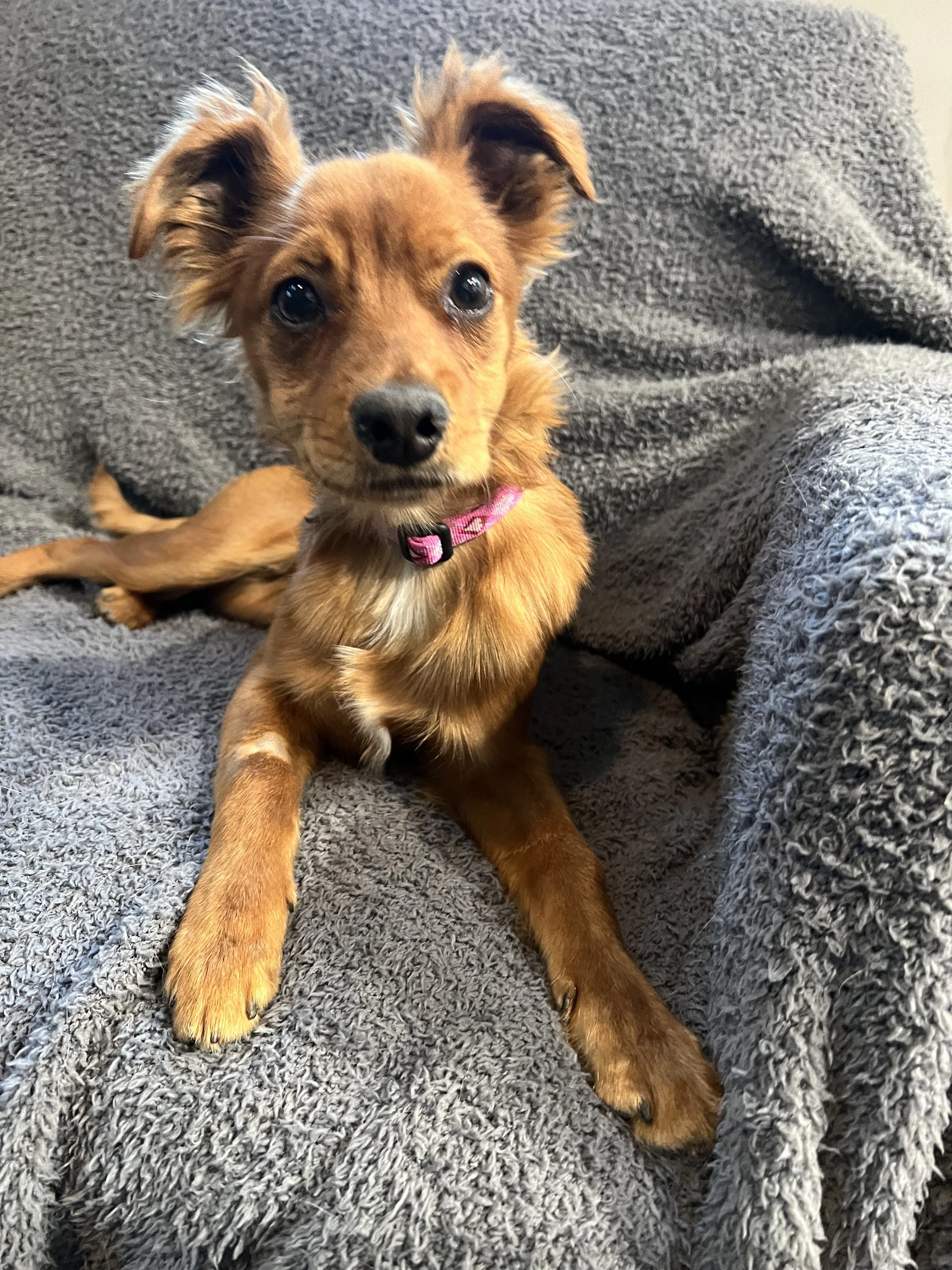 IMG_7057 5.28.14 PM.jpeg