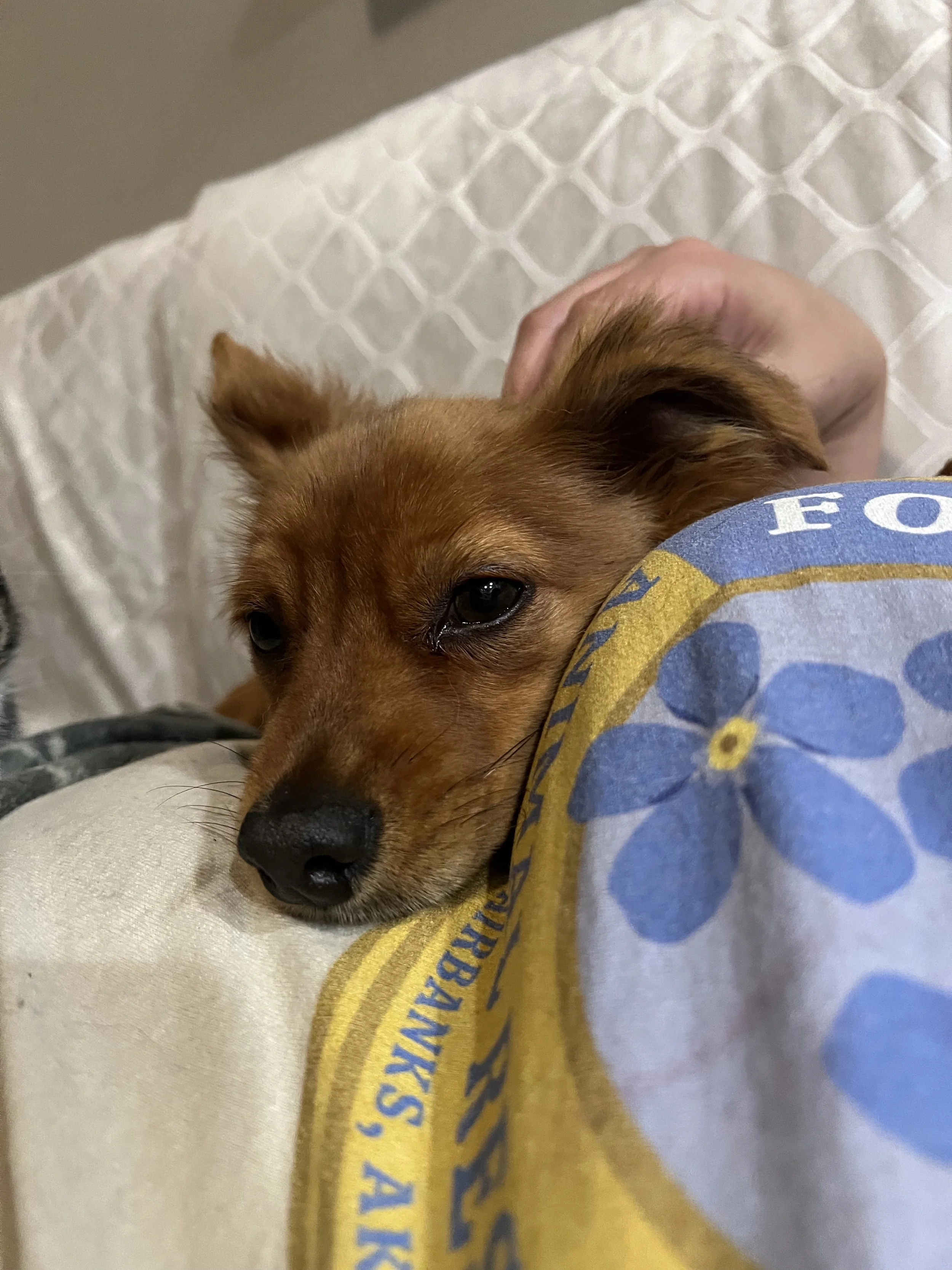 IMG_6453 5.28.12 PM.jpeg