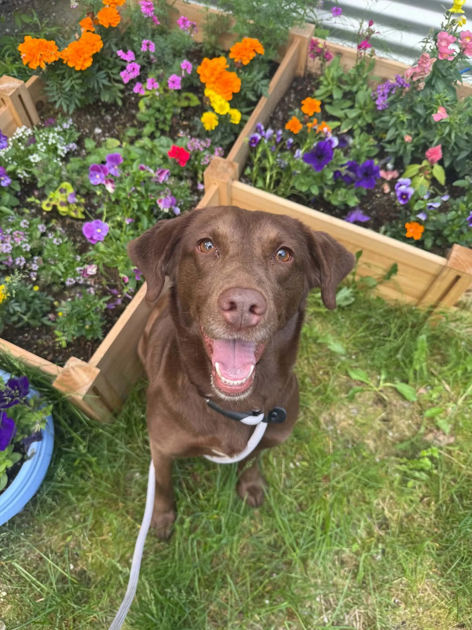 Meet Sadie May