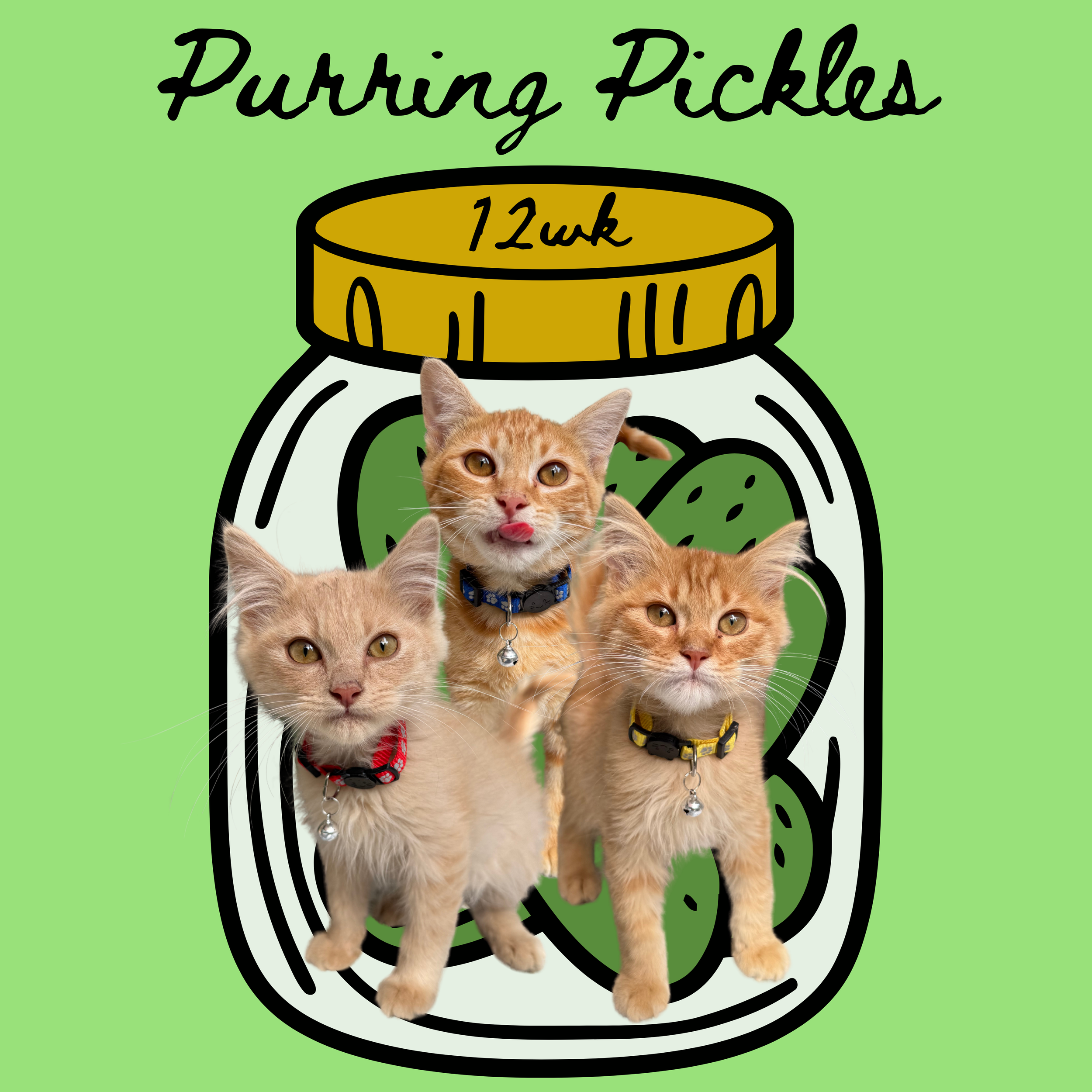 Meet the Purring Pickles
